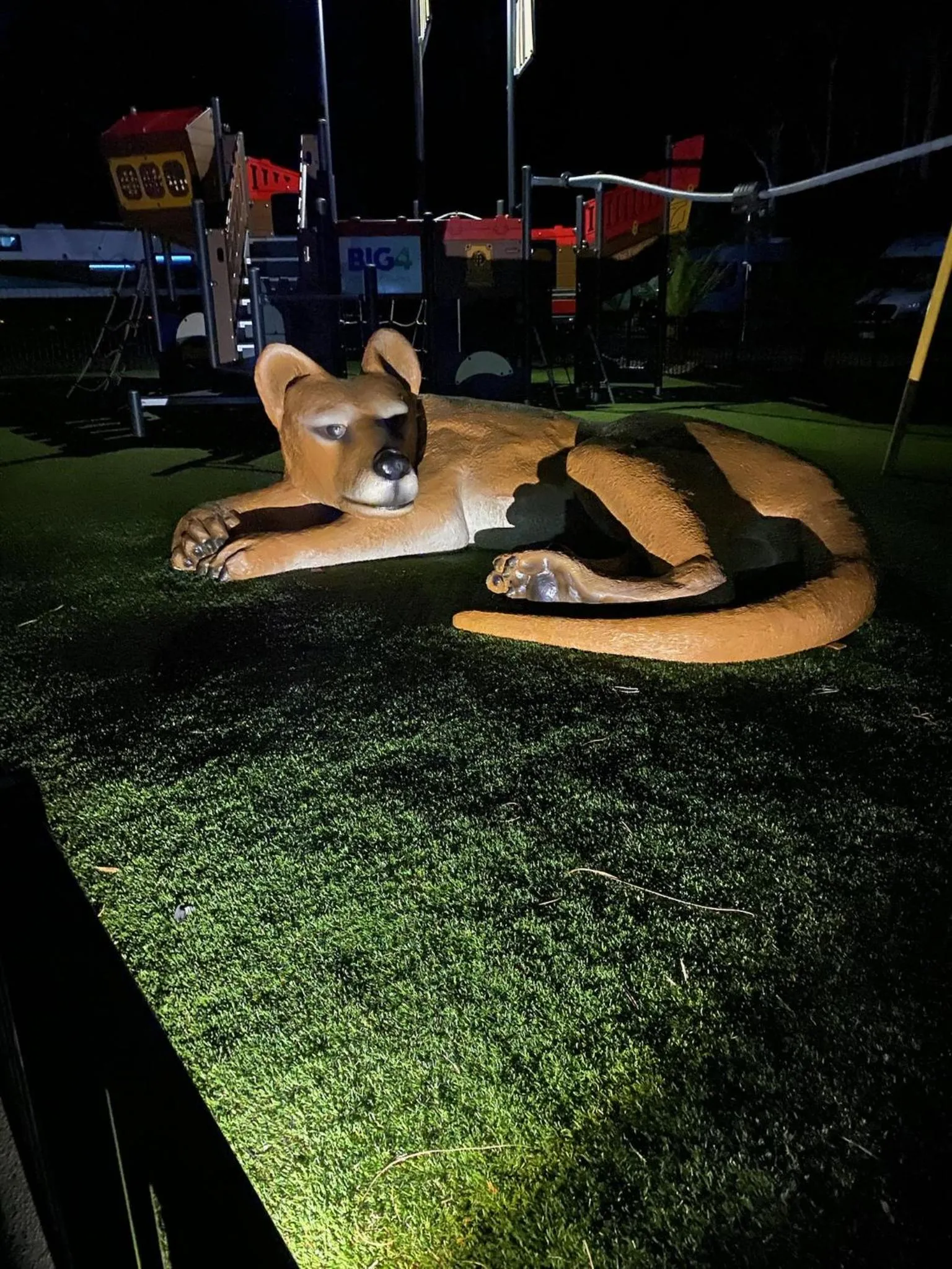 Activities in BIG4 Strahan Holiday Retreat