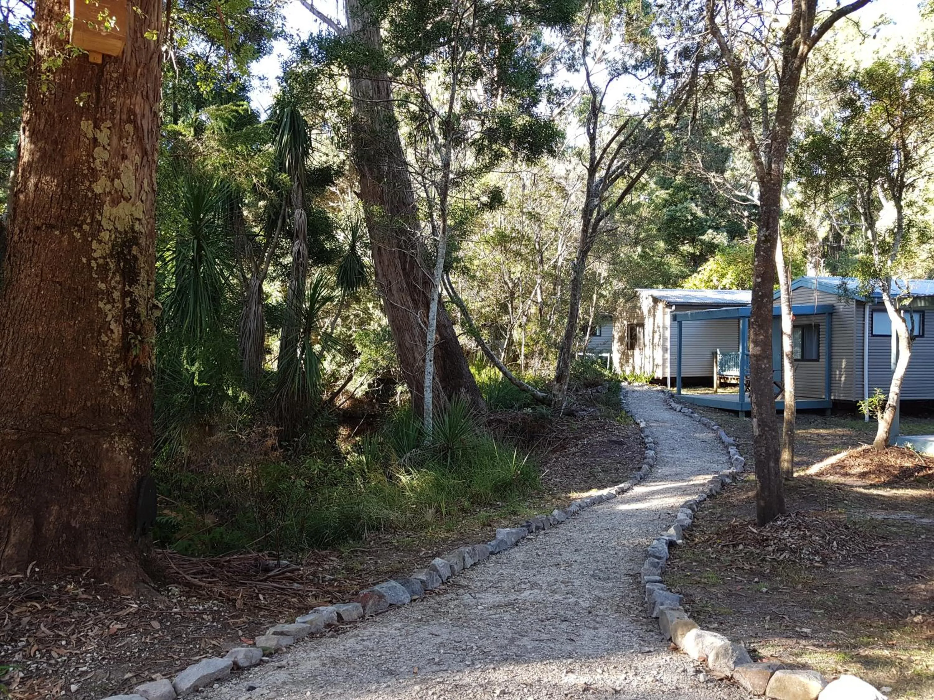 Garden in BIG4 Strahan Holiday Retreat