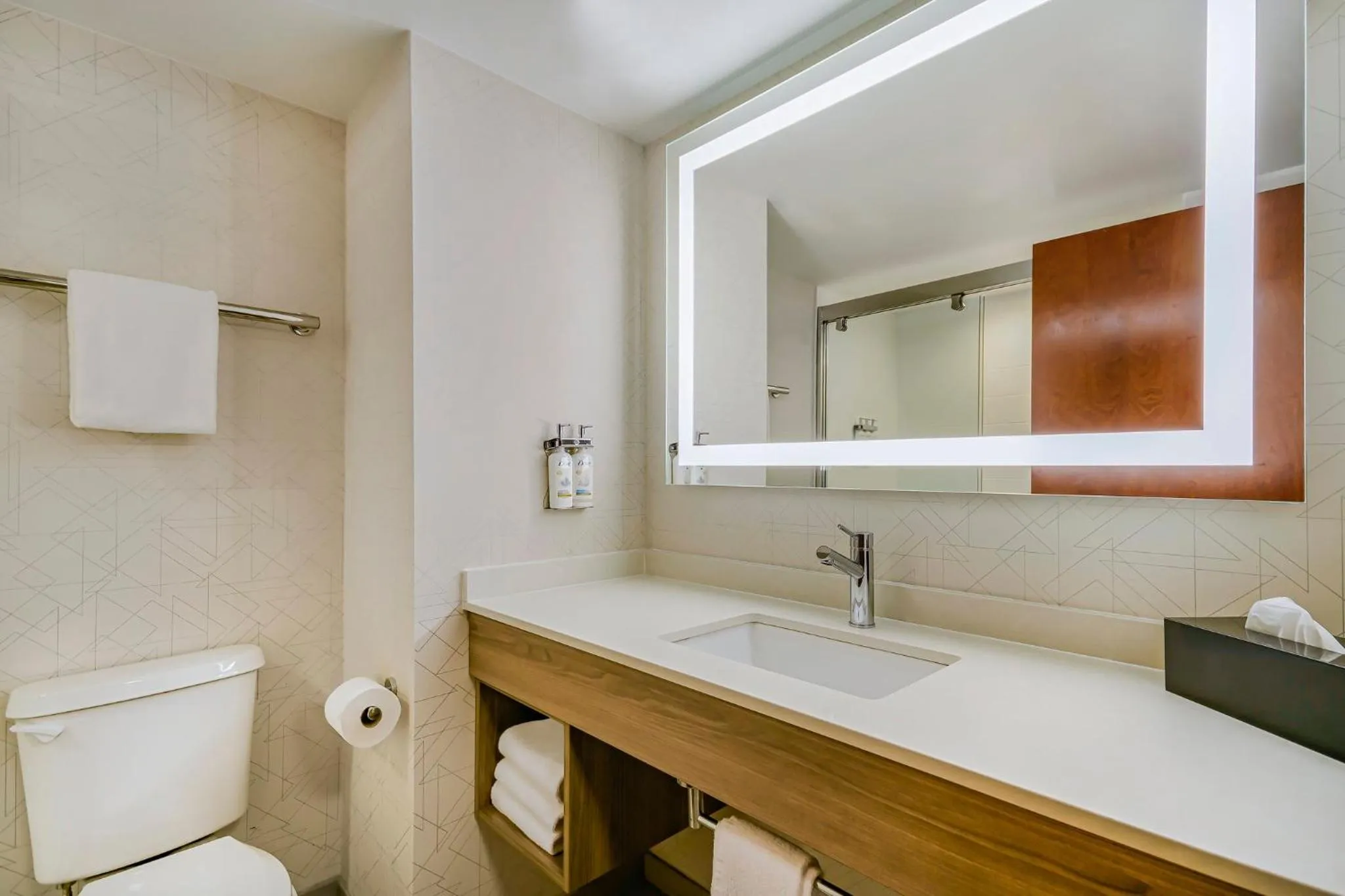 Bathroom in Holiday Inn Express & Suites Buffalo Airport by IHG
