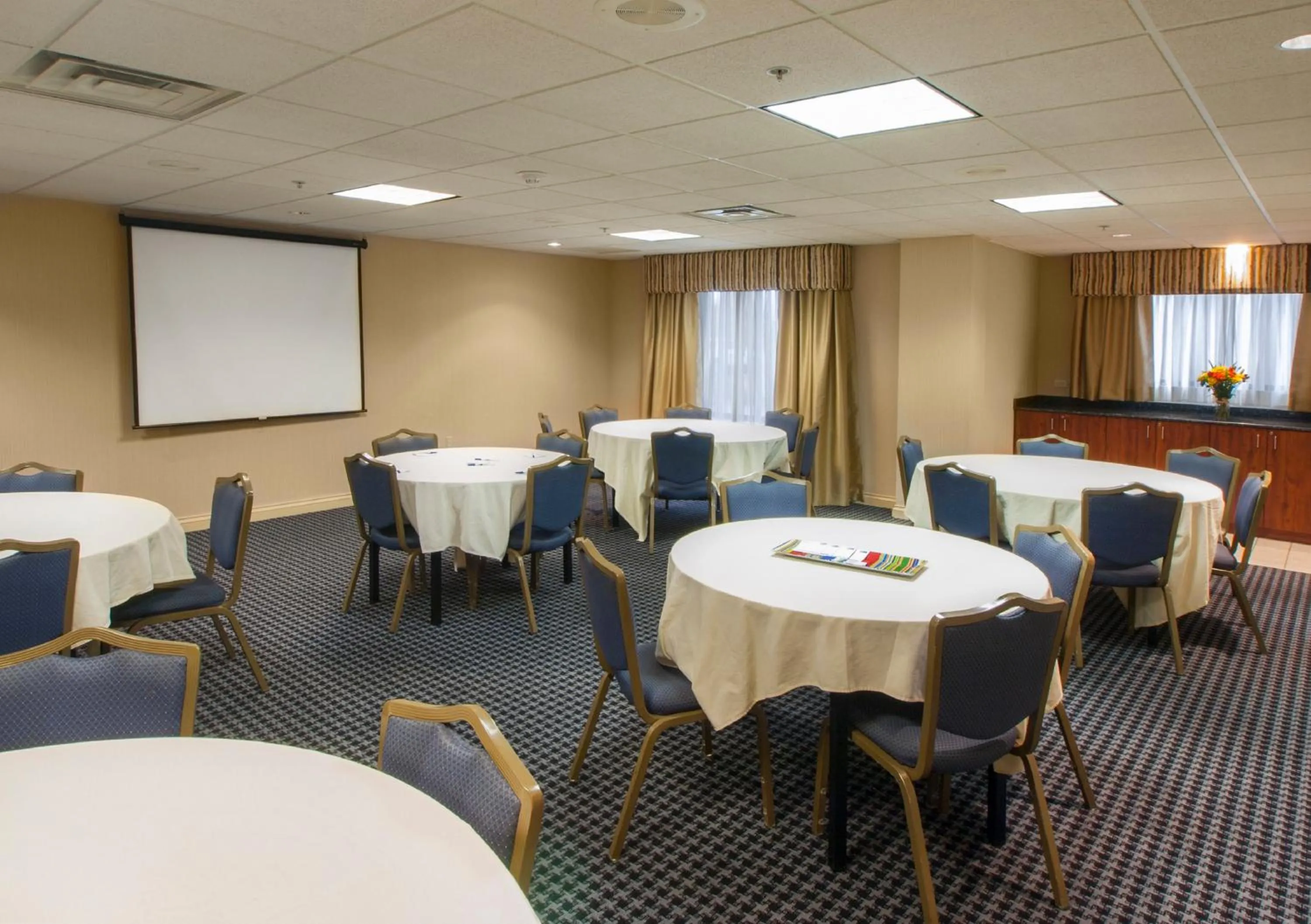 Meeting/conference room in Holiday Inn Express & Suites Buffalo Airport by IHG