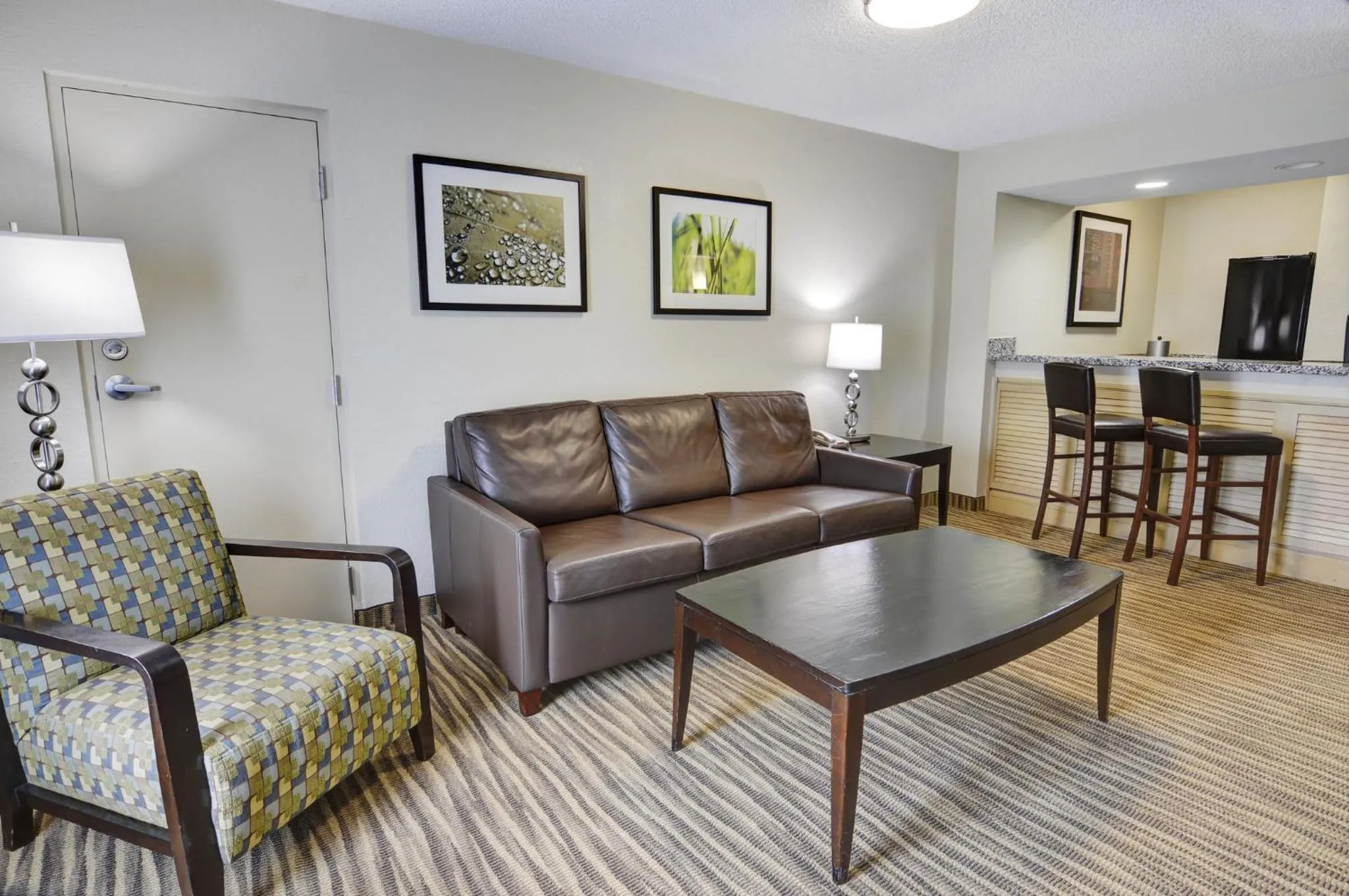 Photo of the whole room in Holiday Inn St. Petersburg N - Clearwater by IHG