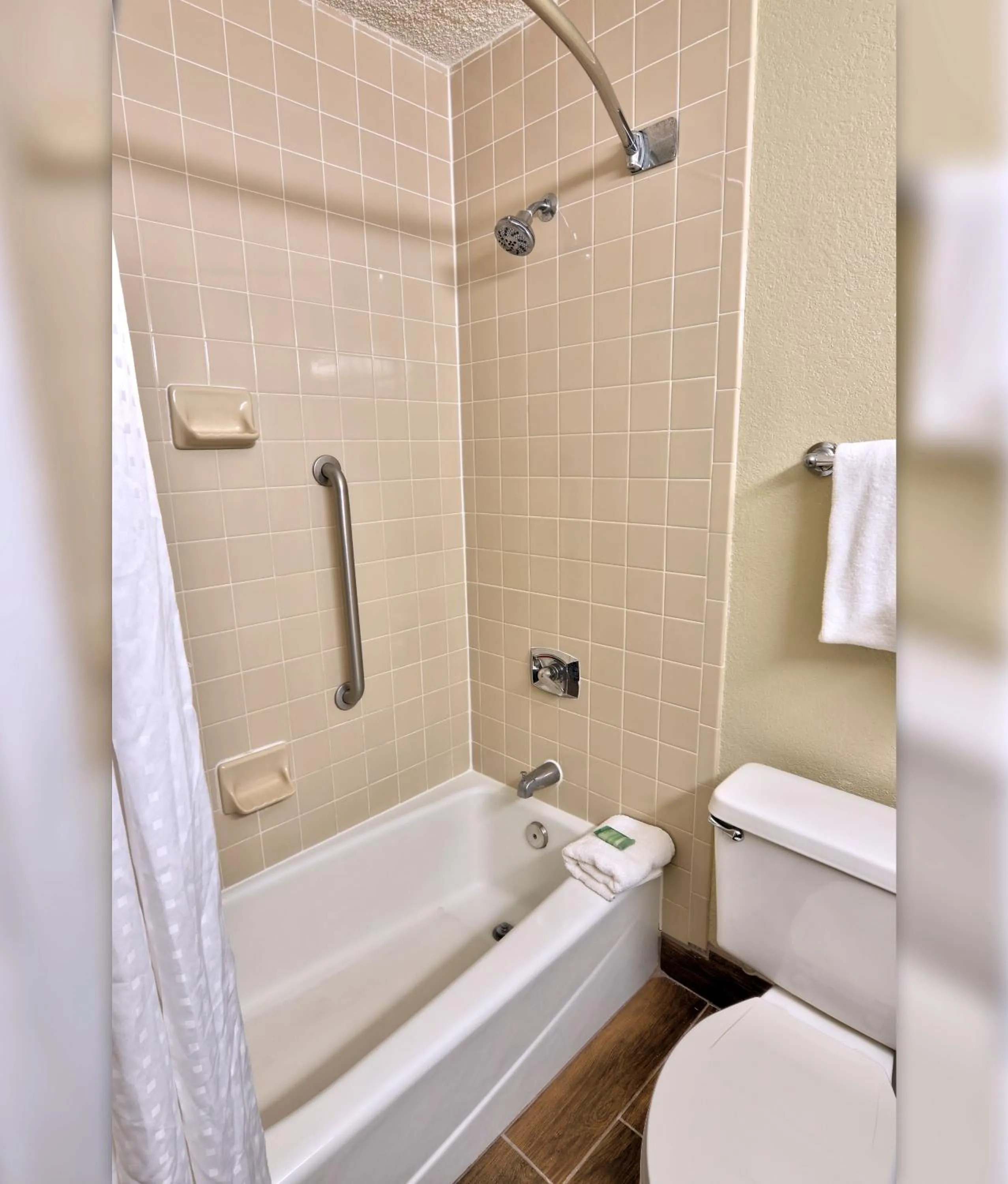 Bathroom in Holiday Inn St. Petersburg N - Clearwater by IHG