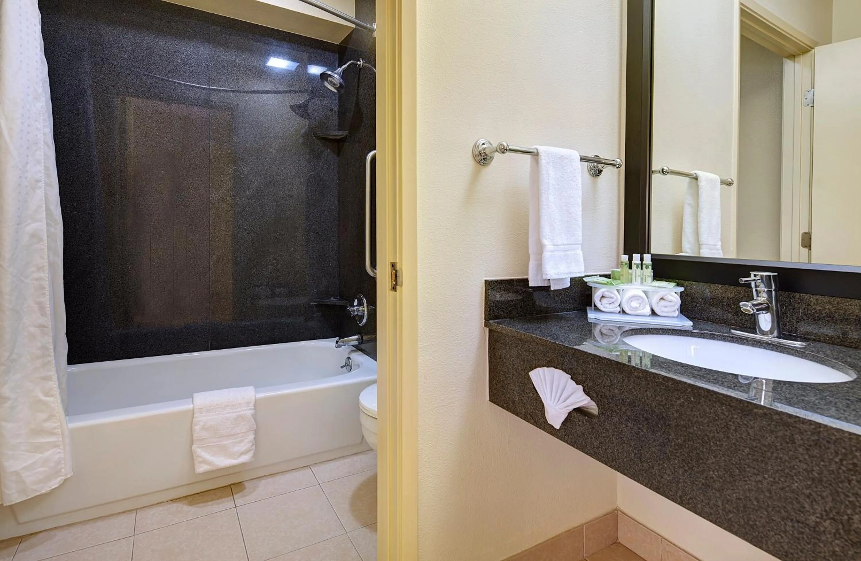 Bathroom in Holiday Inn Express San Diego South - National City by IHG