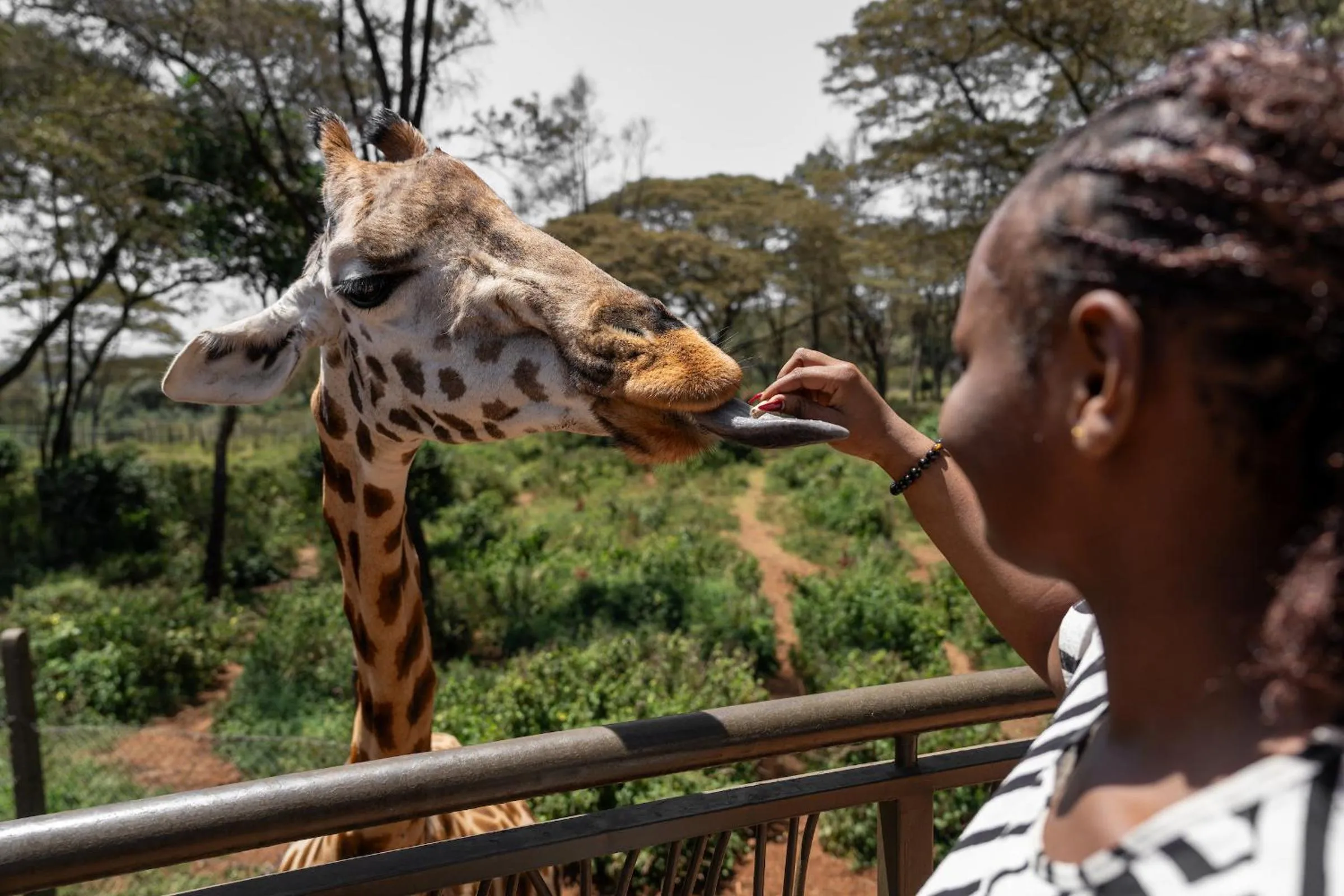 Nearby landmark in Vignette Collection -Fairview Hotel Nairobi