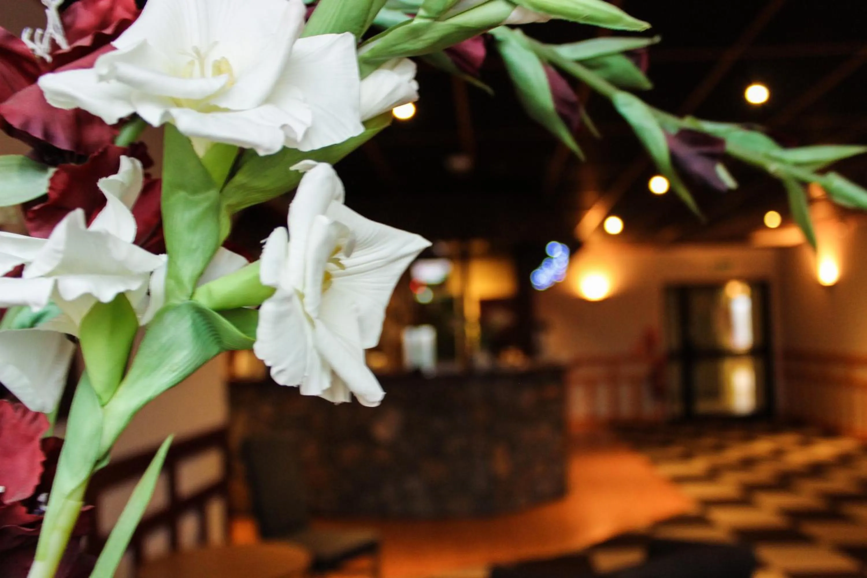 Other in Euroway Hotel