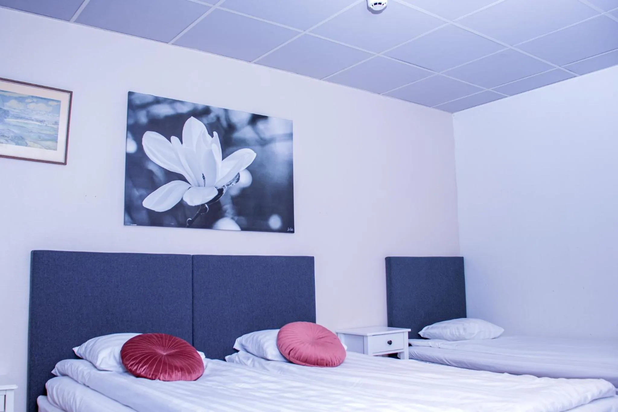 Bed in Euroway Hotel