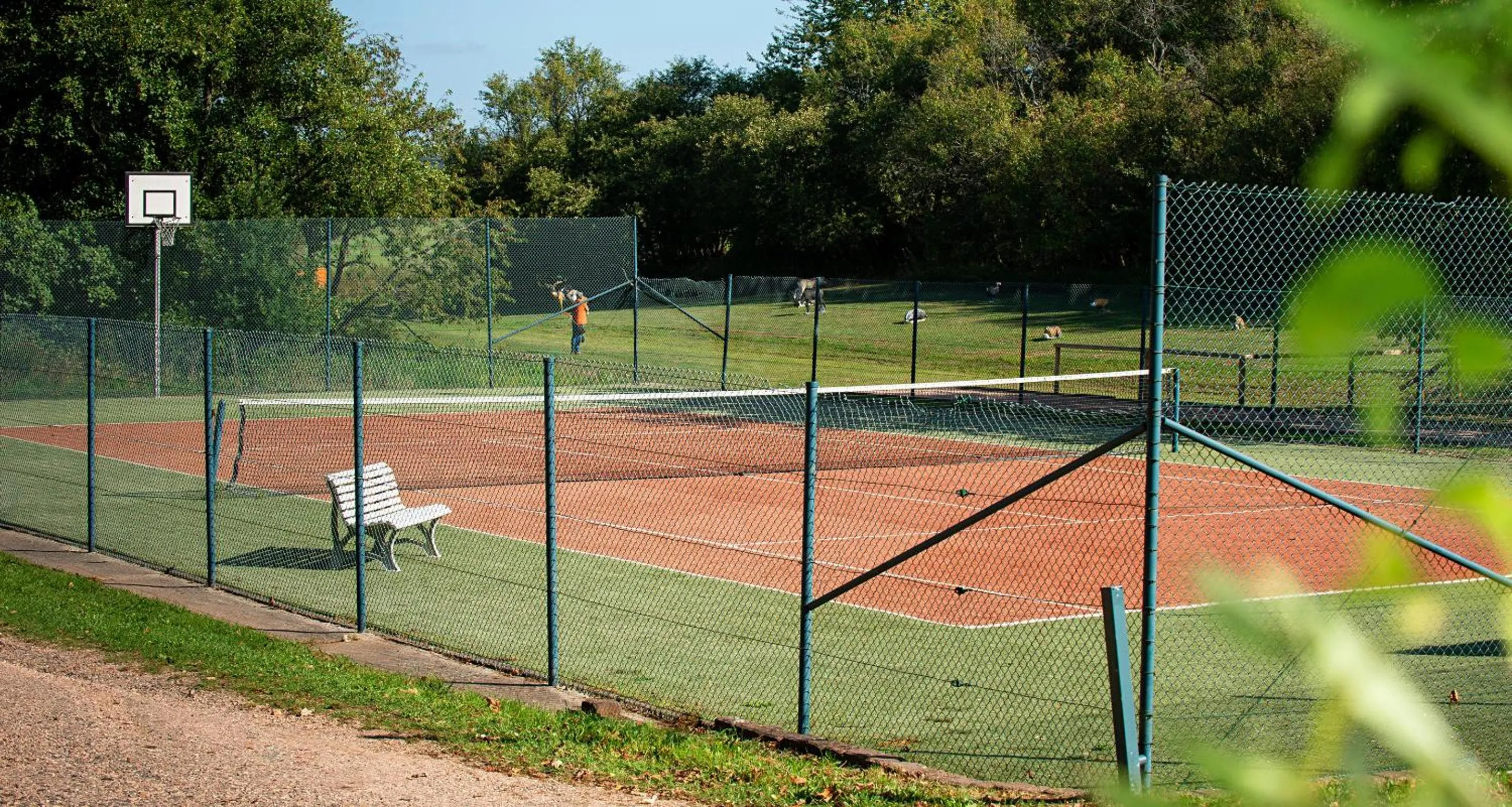 Day in Victor's Seehotel Weingärtner Bostalsee