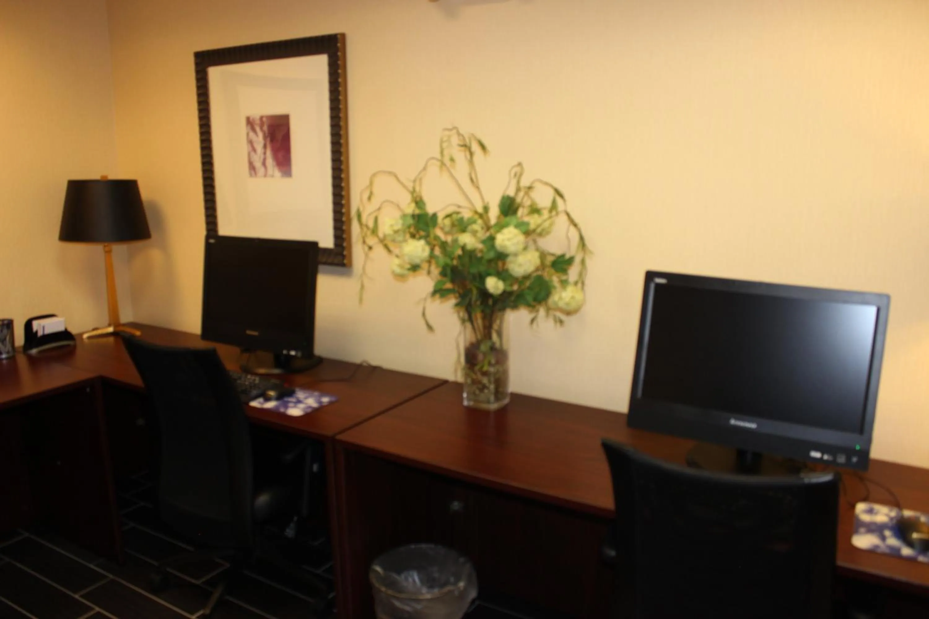 Other in Holiday Inn Express Hotel & Suites - Atlanta/Emory University Area by IHG