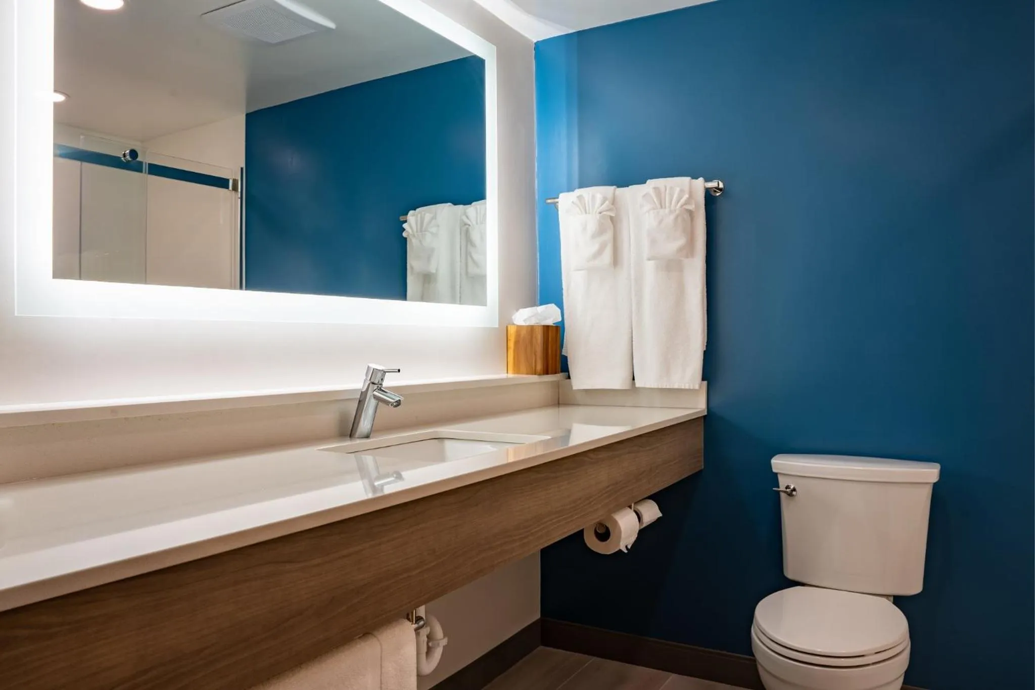 Bathroom in Holiday Inn Express & Suites Carneys Point - Pennsville by IHG