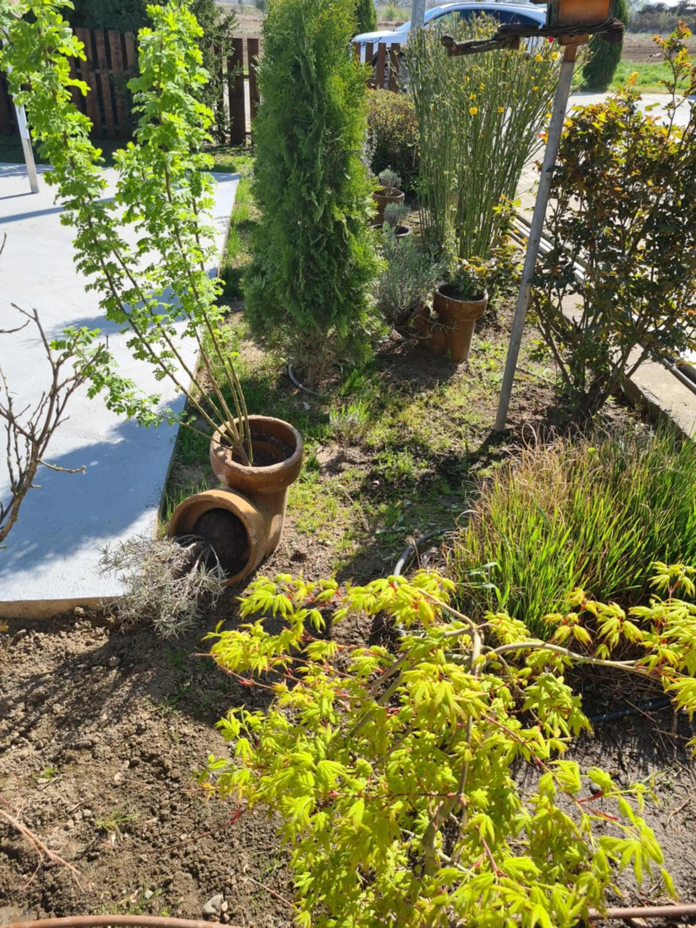 Garni Hotel & Spa Nicolo