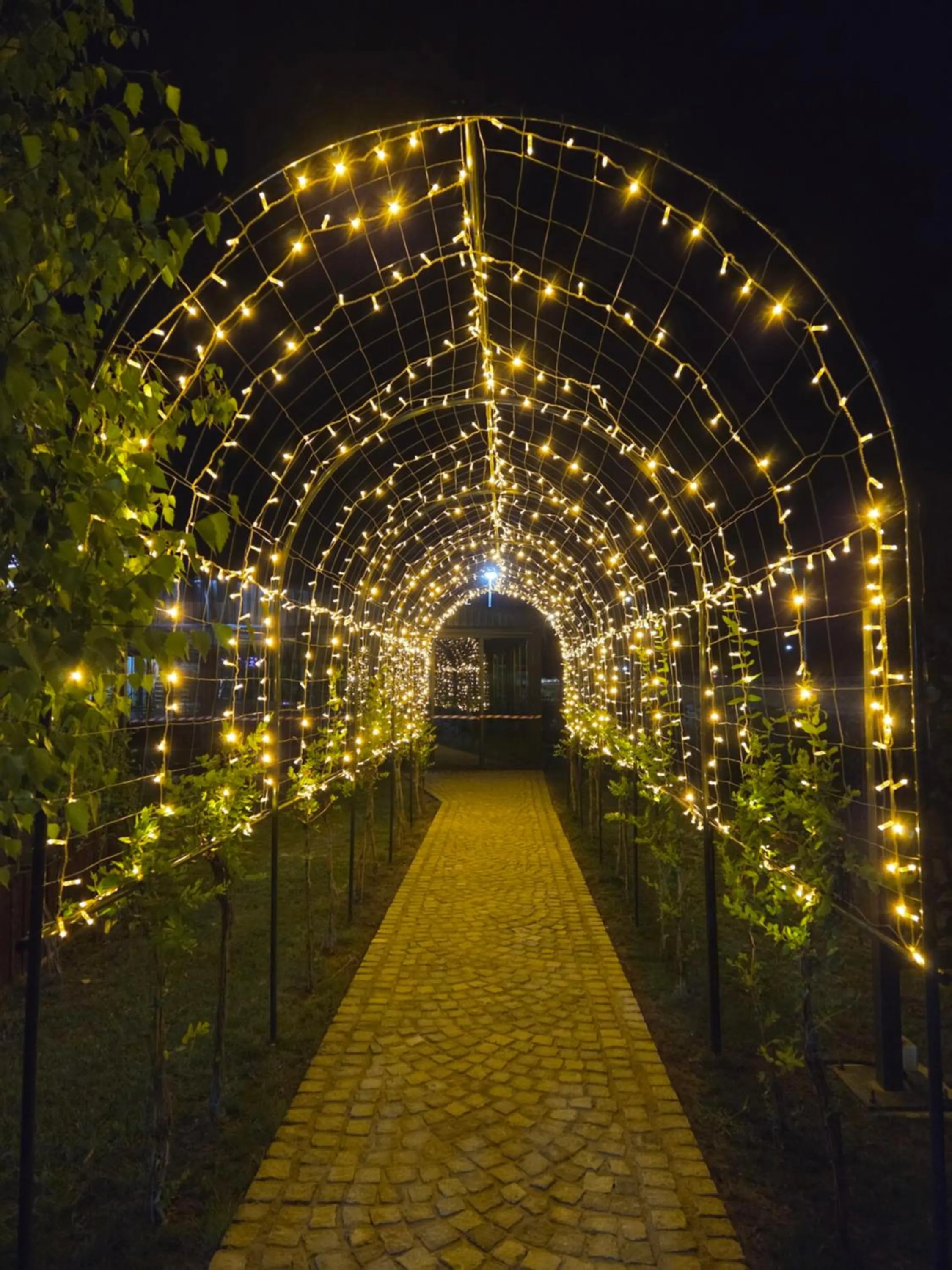 Garden in Garni Hotel & Spa Nicolo