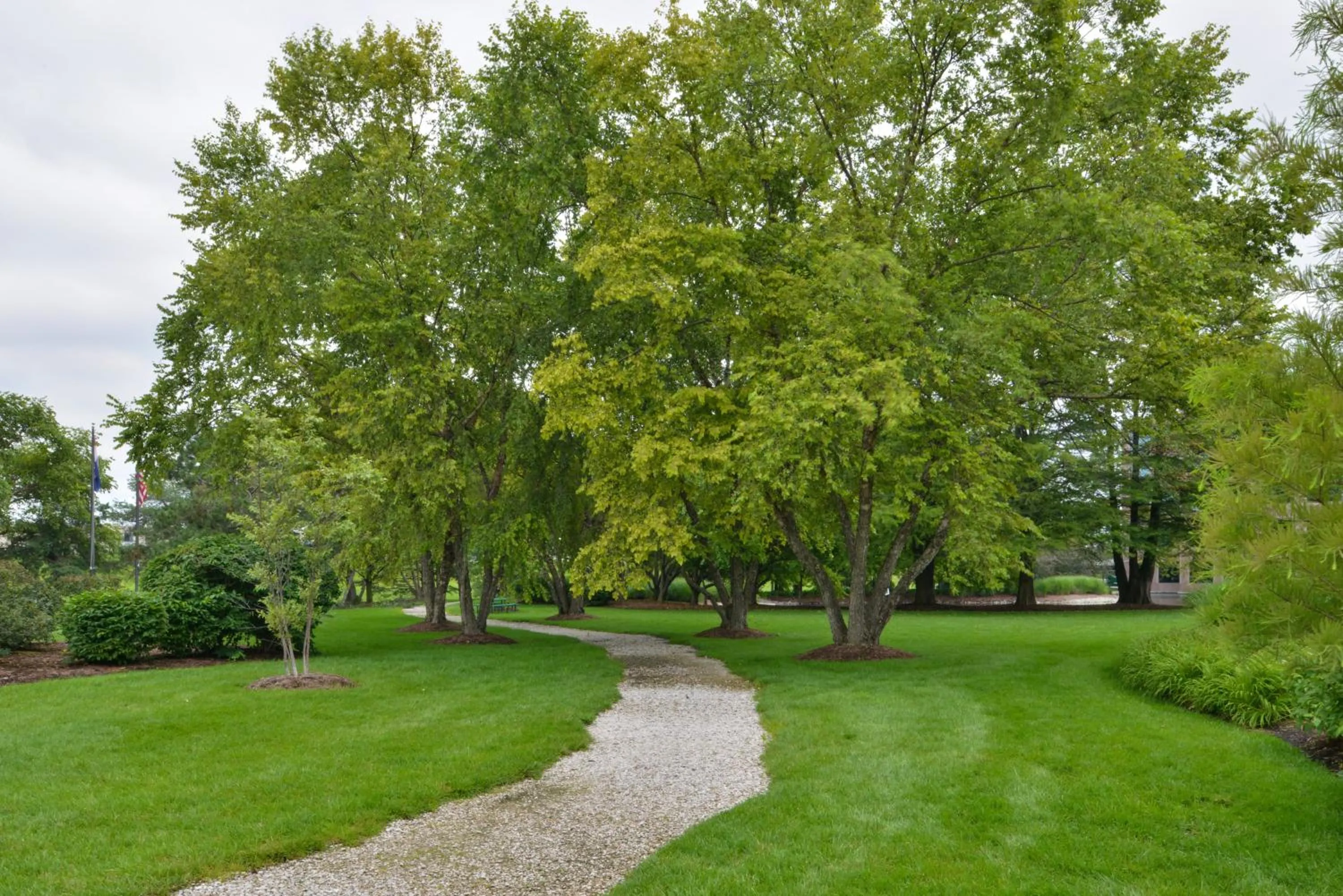 Other in Elimwood Hotel, a Ramada by Wyndham