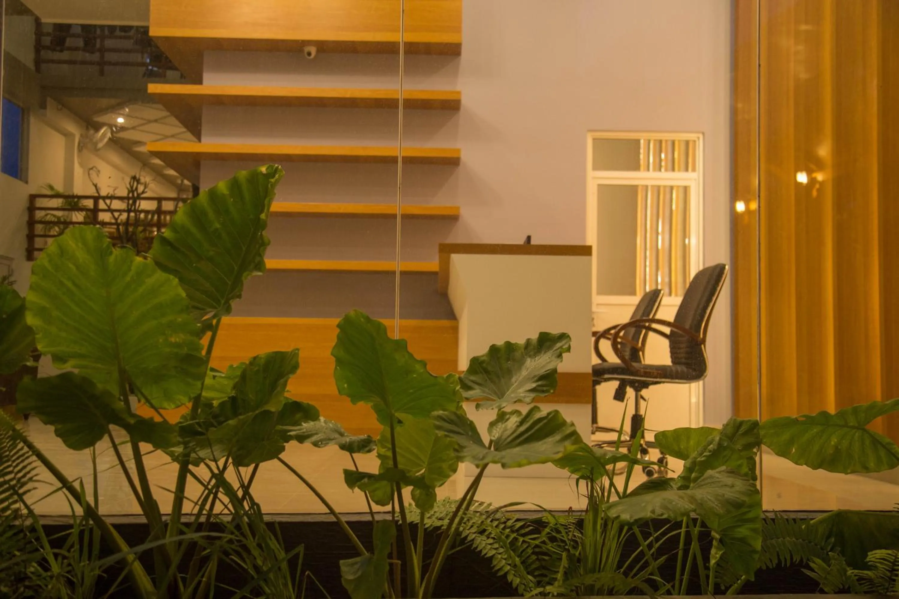 Garden in Kuredhi Beach Inn