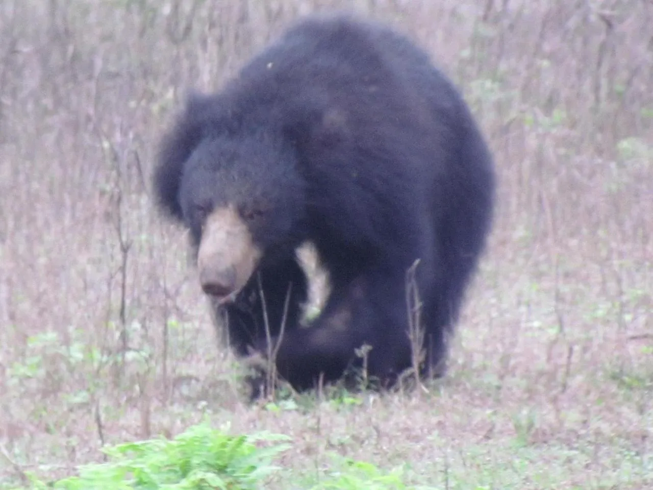 Other in Lake Villa Resort