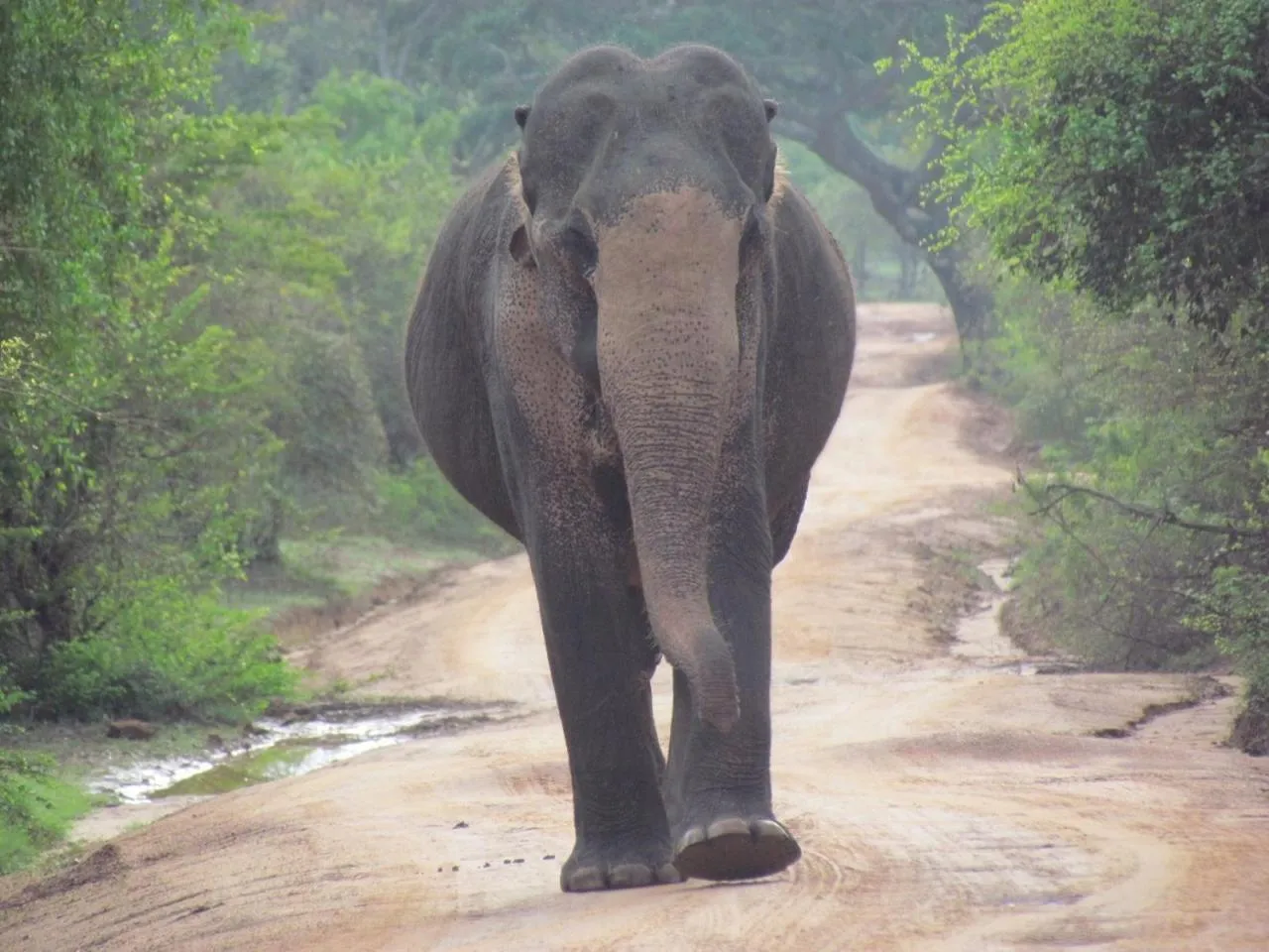 Other in Lake Villa Resort