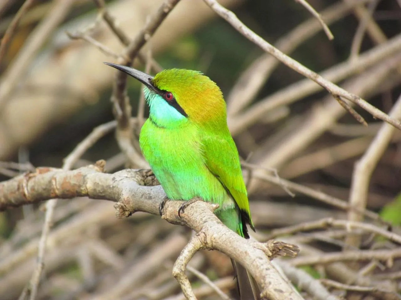 Location in Lake Villa Resort