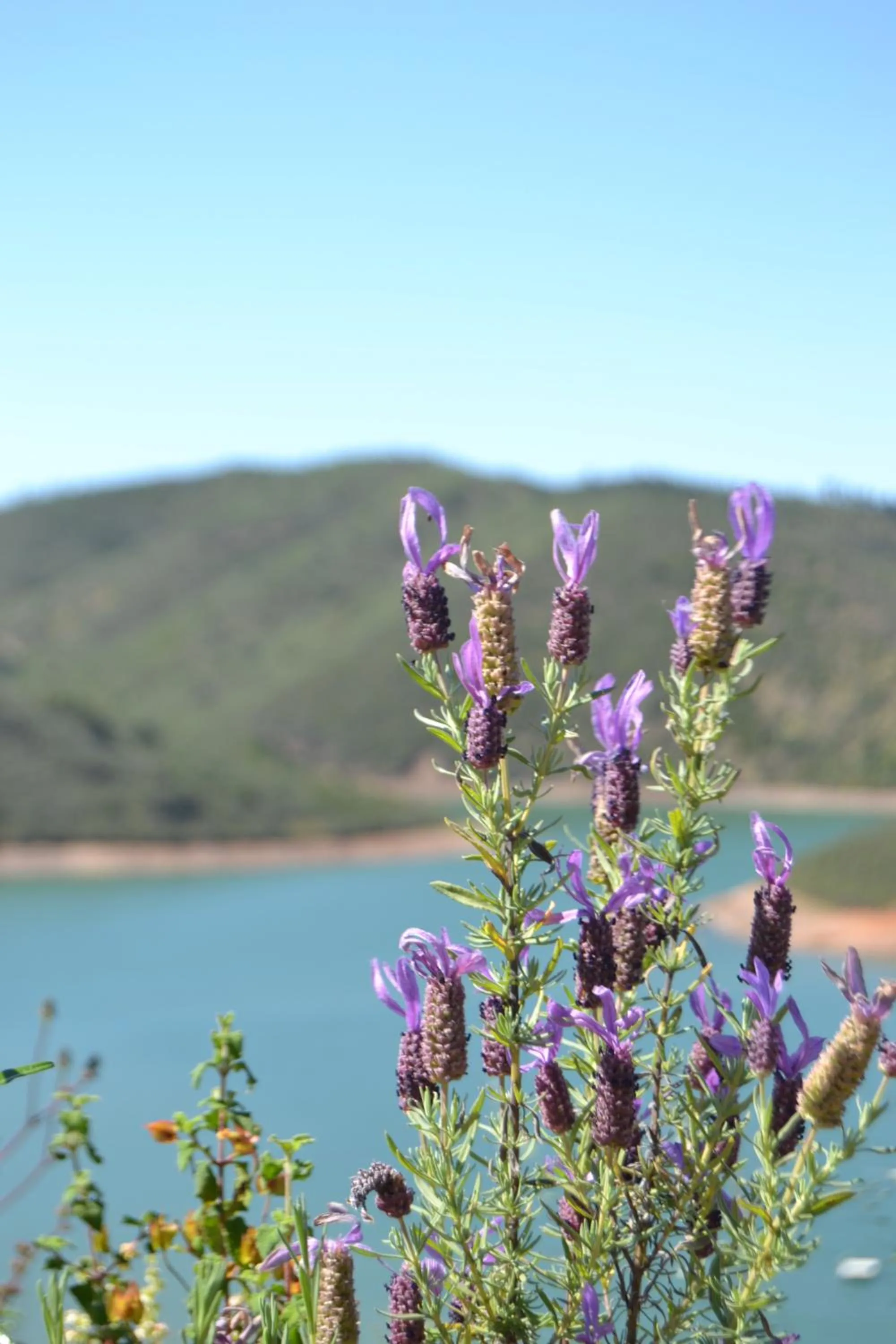 Activities in Vale Fuzeiros Nature Guest House