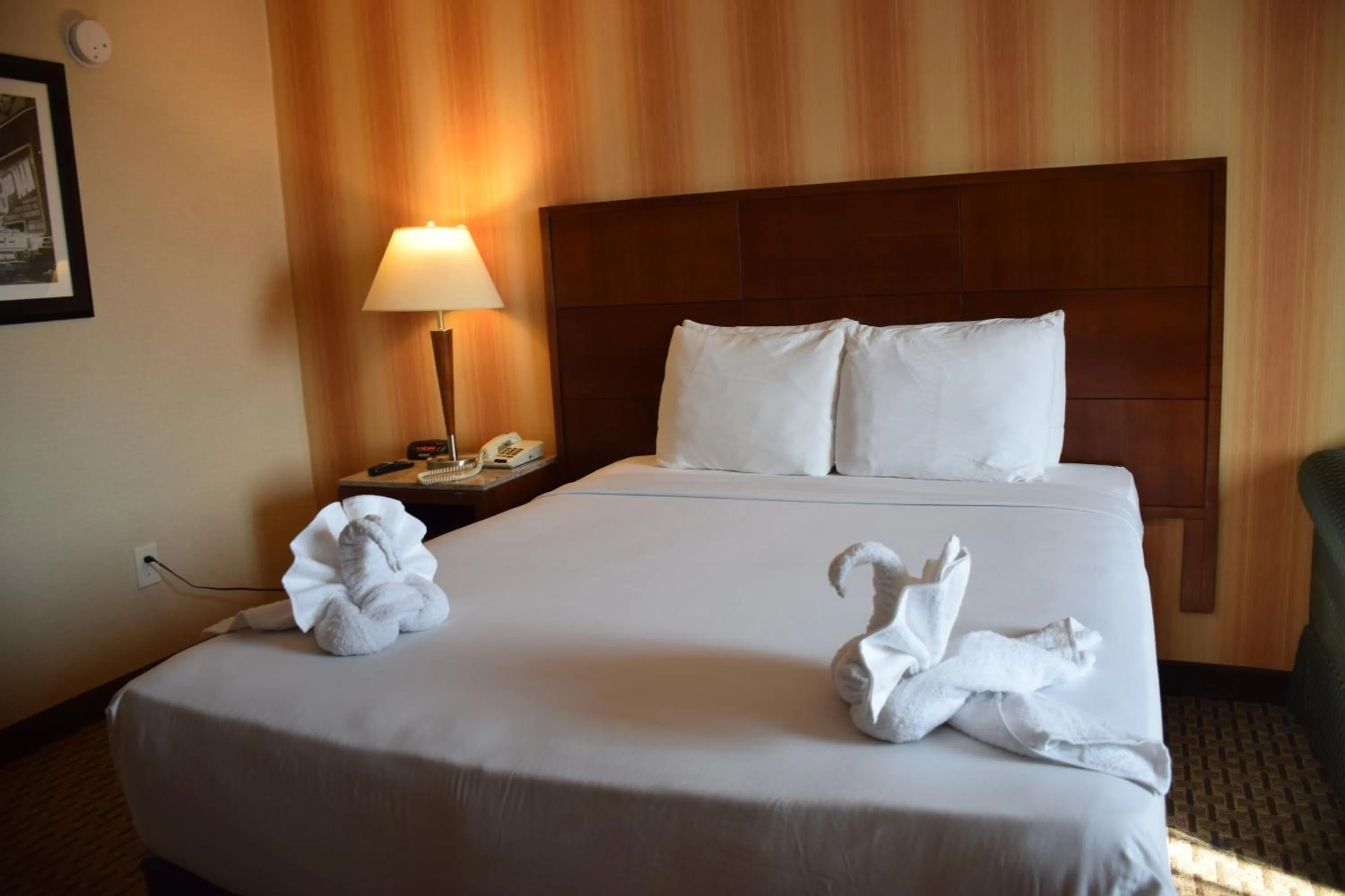 Bedroom in E Hotel Banquet & Conference Center