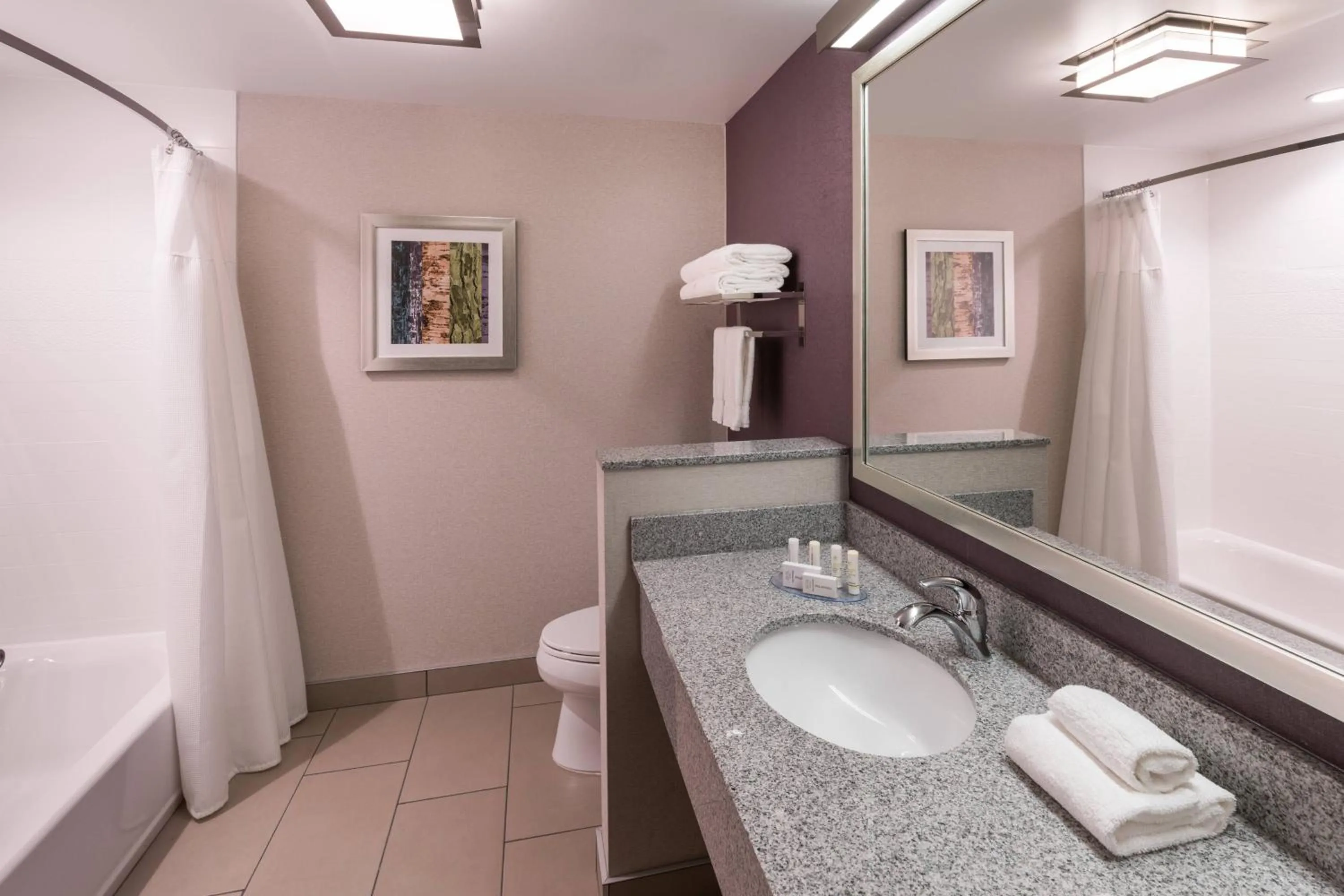 Bathroom in Fairfield Inn & Suites by Marriott Chicago Schaumburg