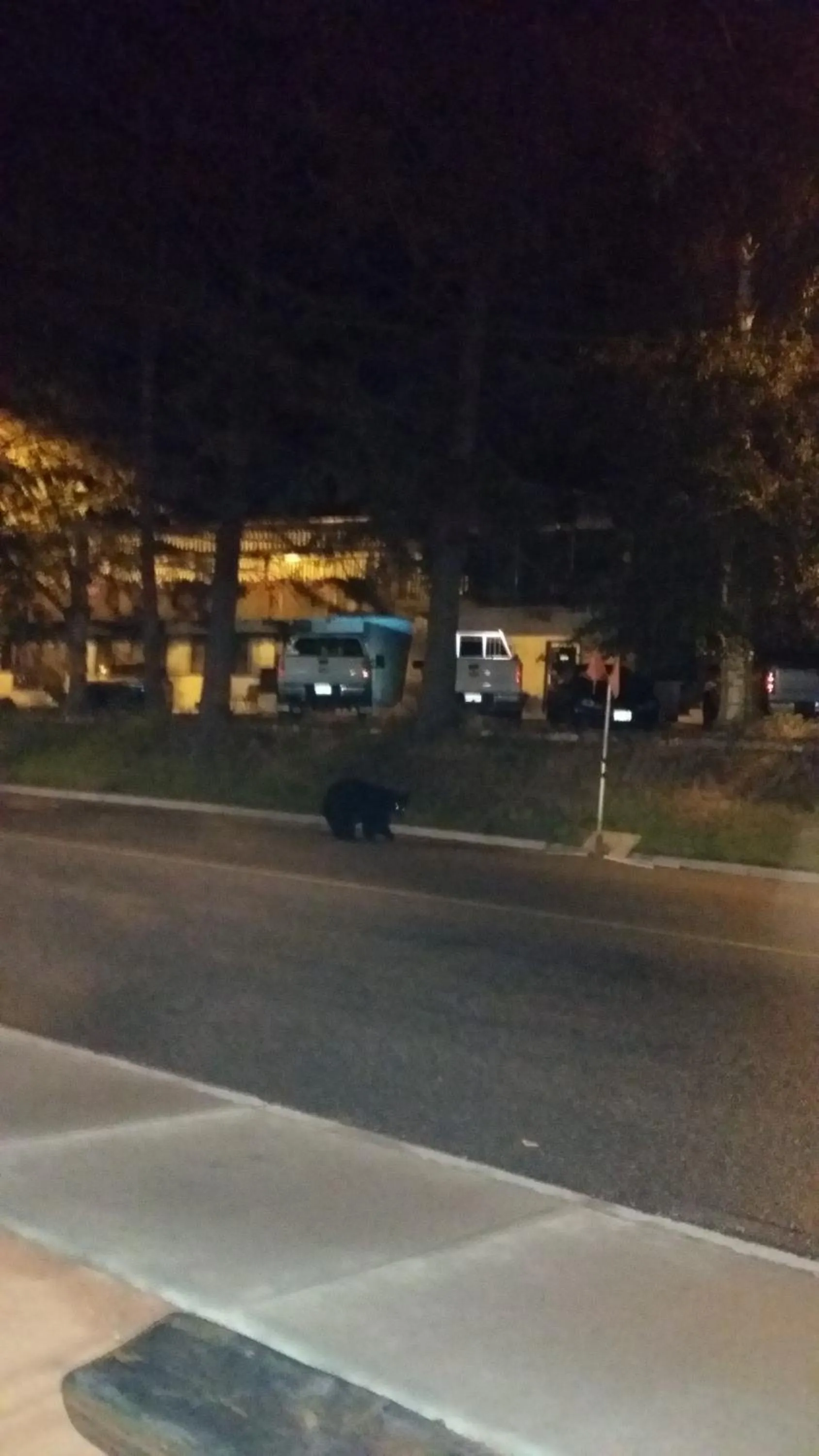 Animals in AppleTree Inn