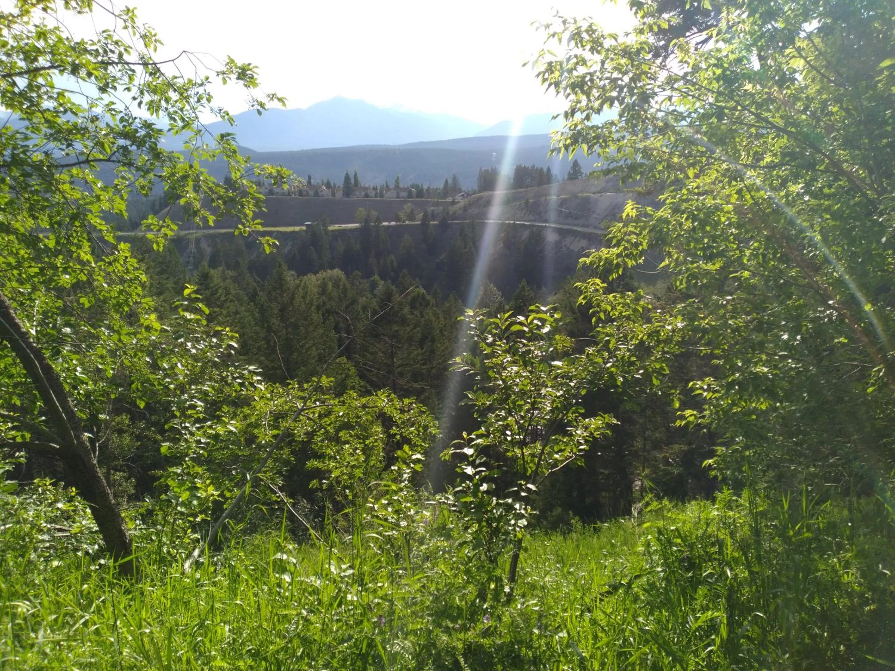 Natural landscape in AppleTree Inn