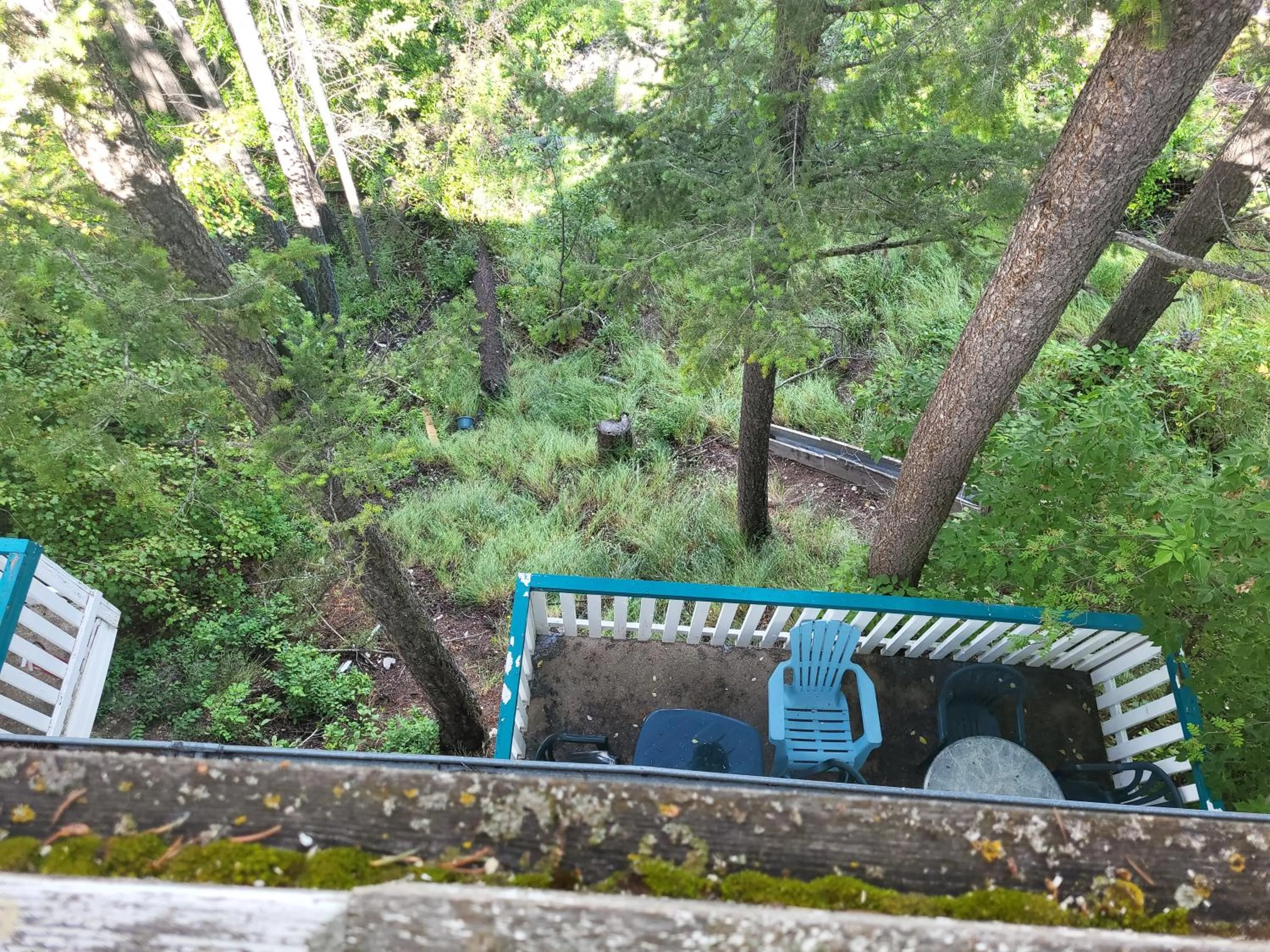 Natural landscape in AppleTree Inn