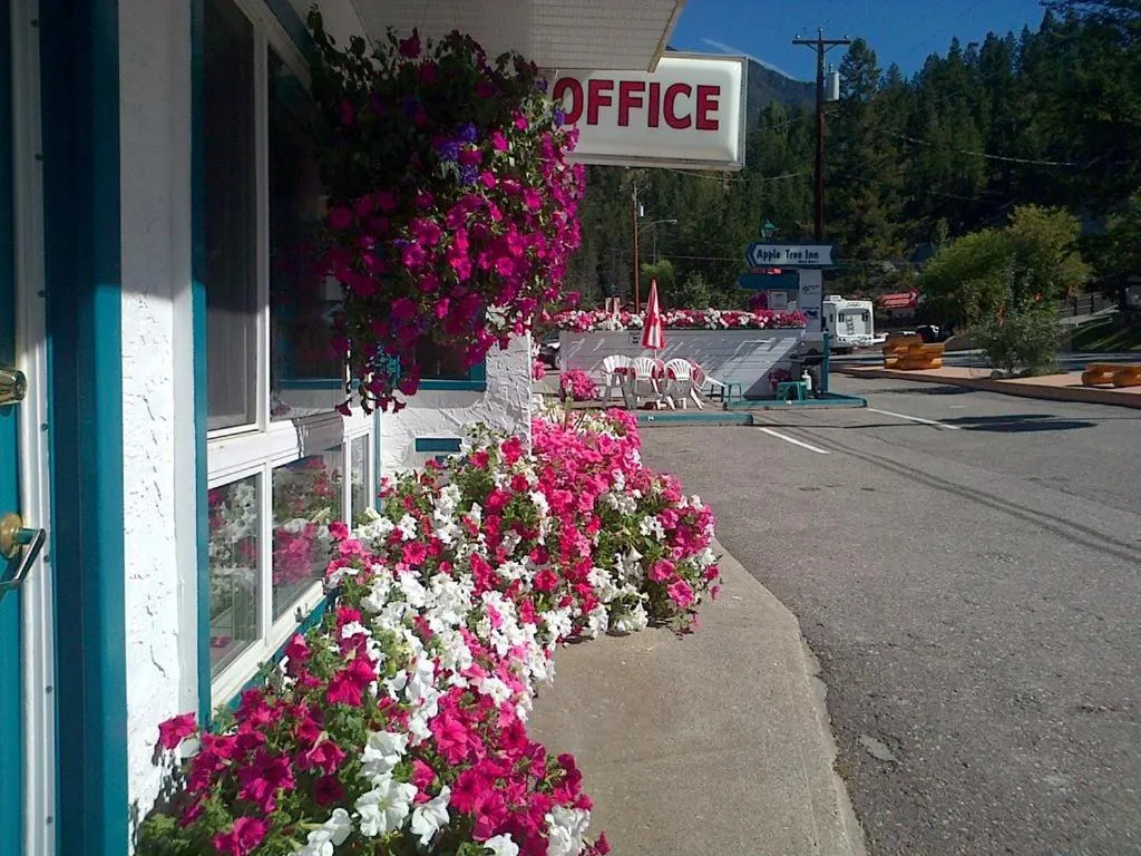 Family Junior Suite - Not Pet-Friendly  in AppleTree Inn