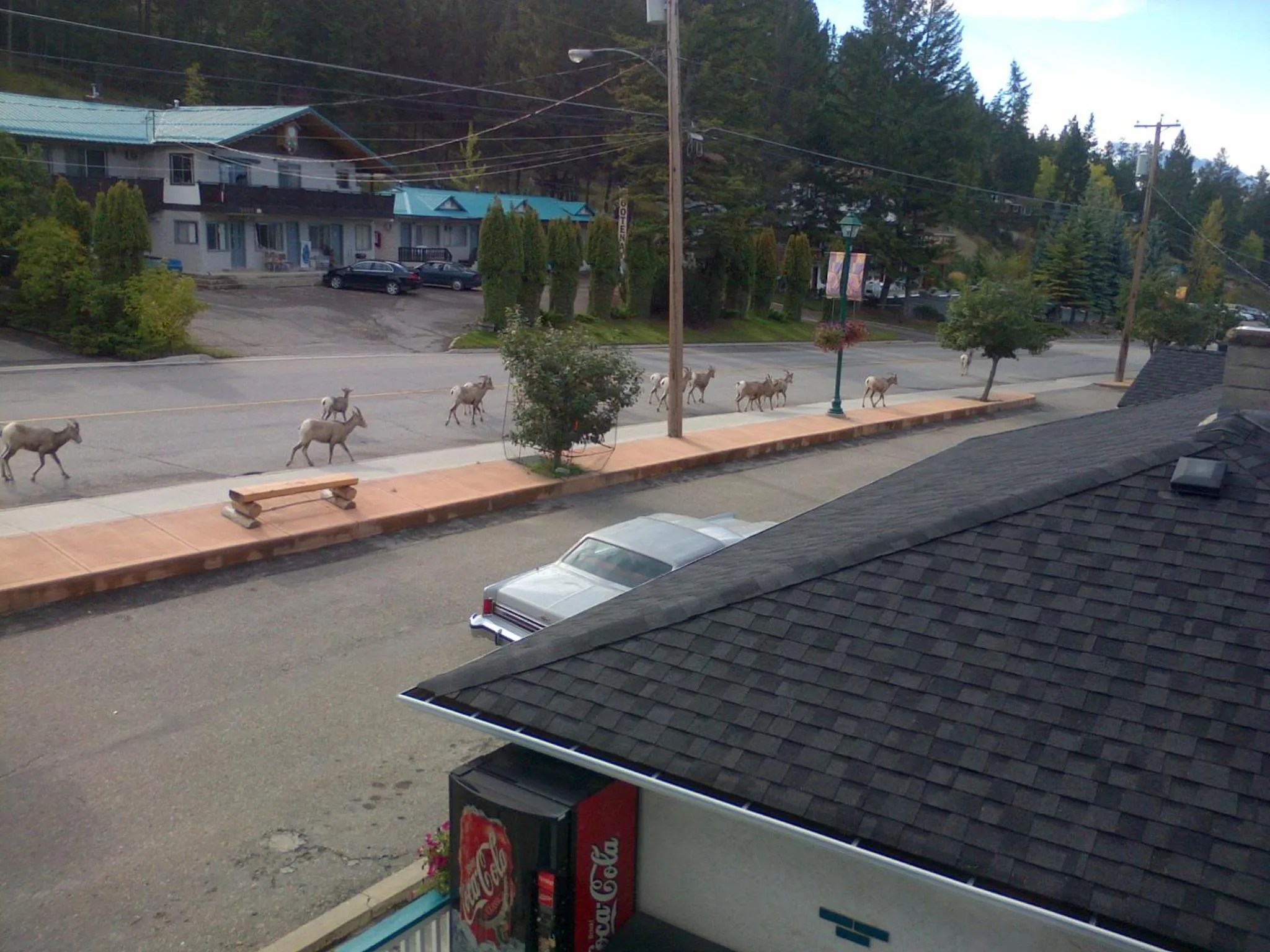 Day in AppleTree Inn