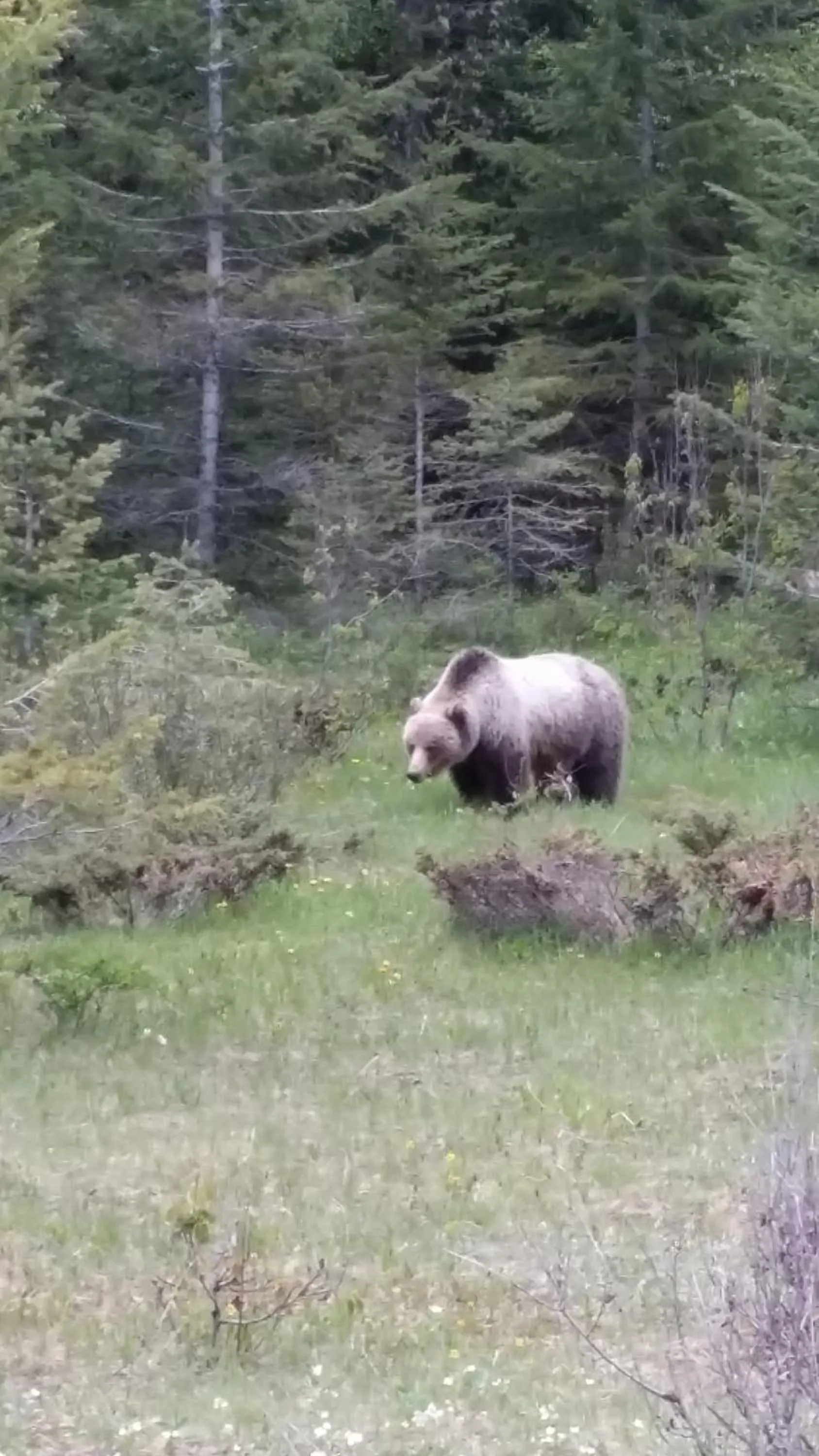 Natural landscape in AppleTree Inn