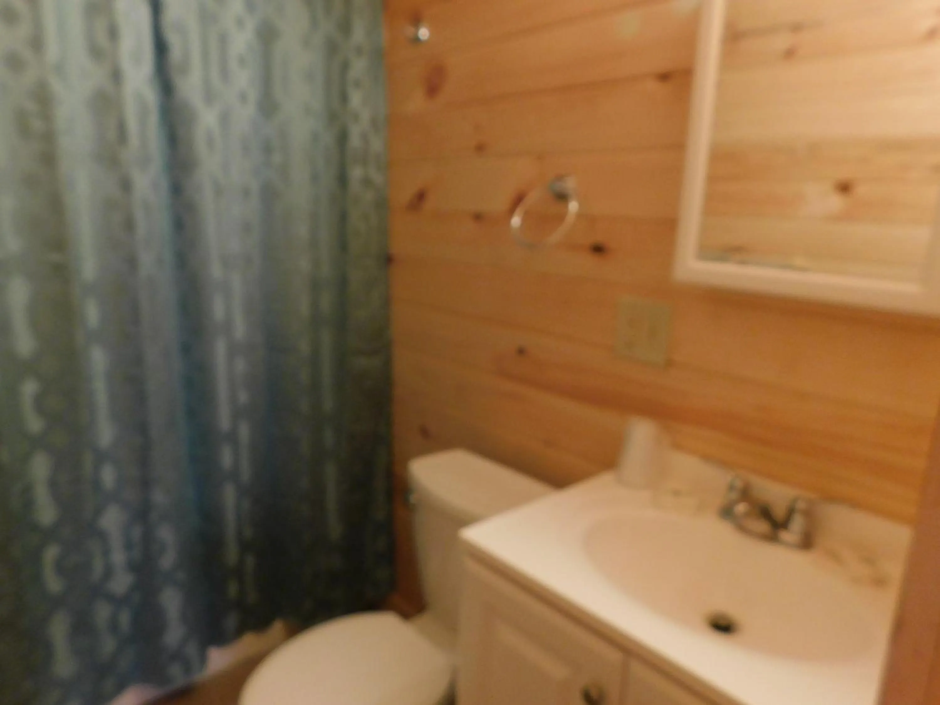 Toilet in Olympian Resort Motel