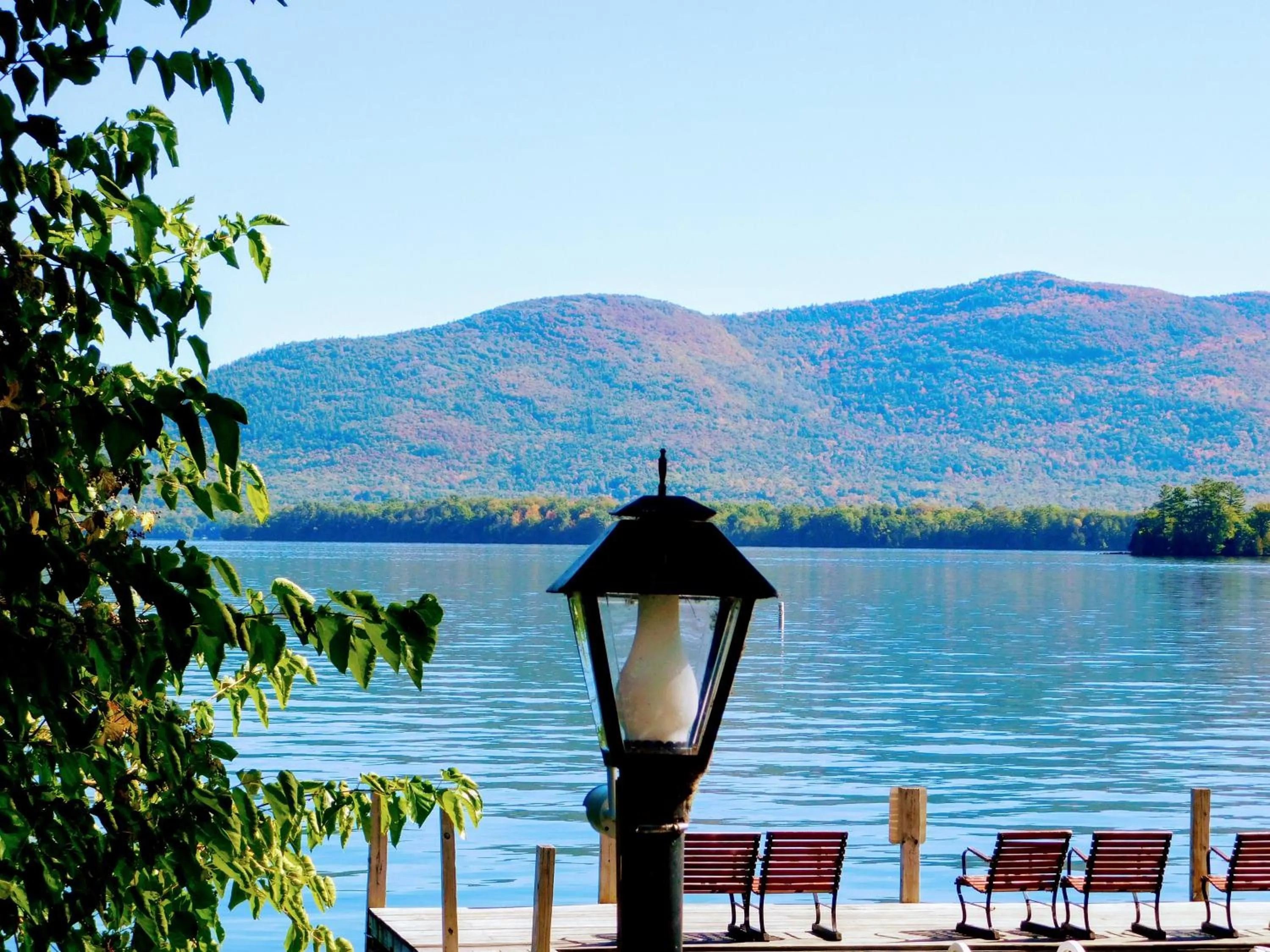 Natural landscape in Olympian Resort Motel