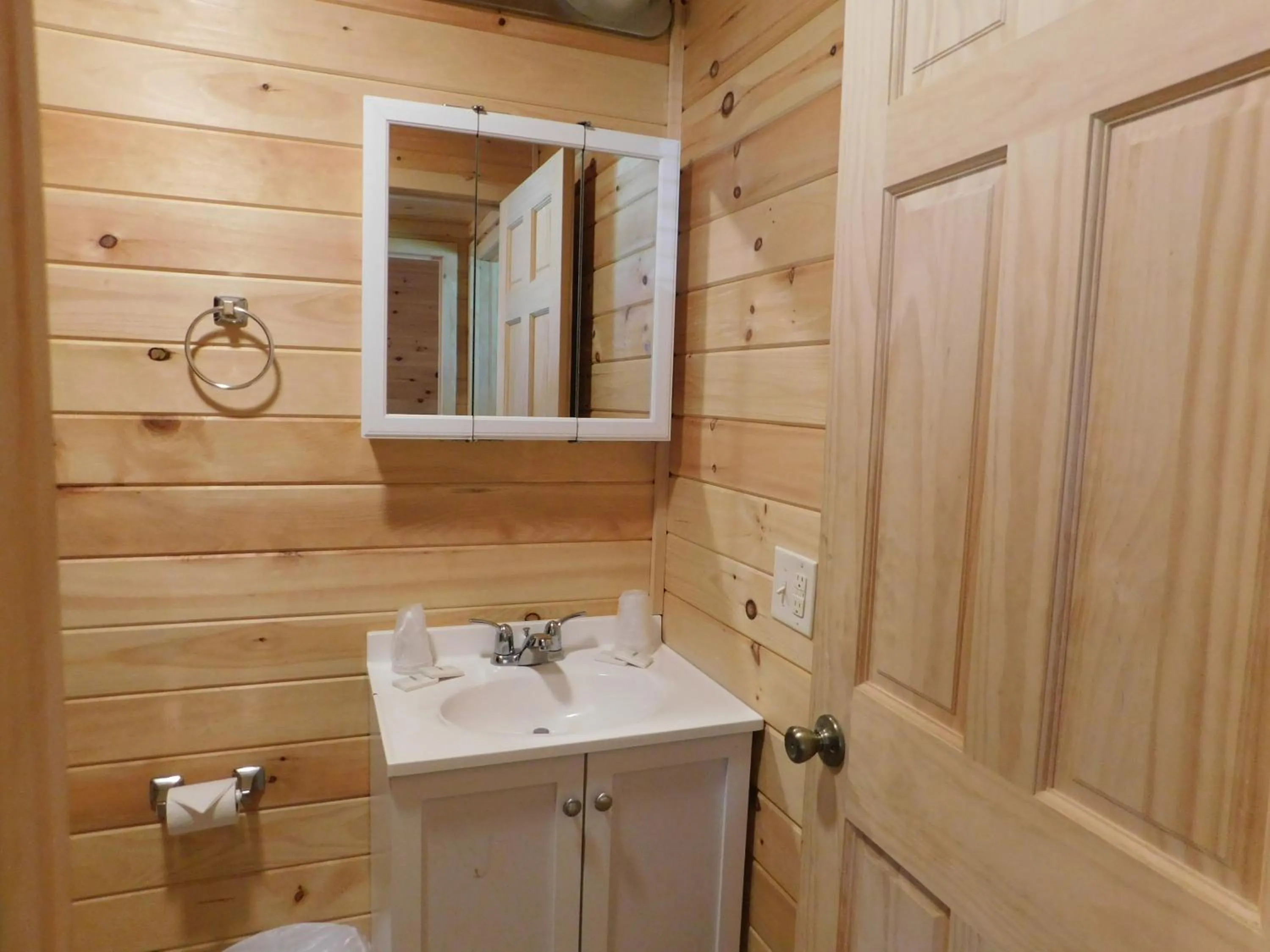 Shower in Olympian Resort Motel