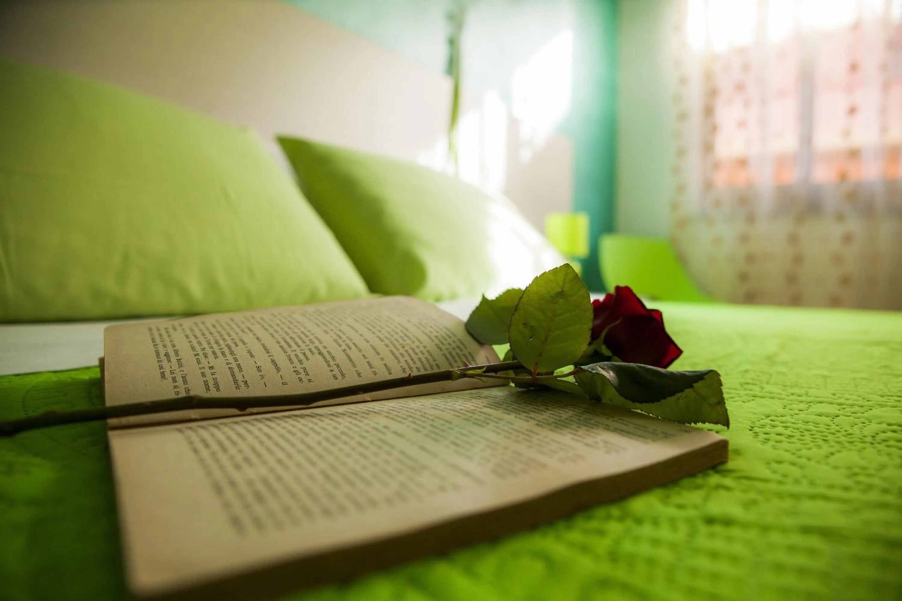 Decorative detail in B&B Giosy