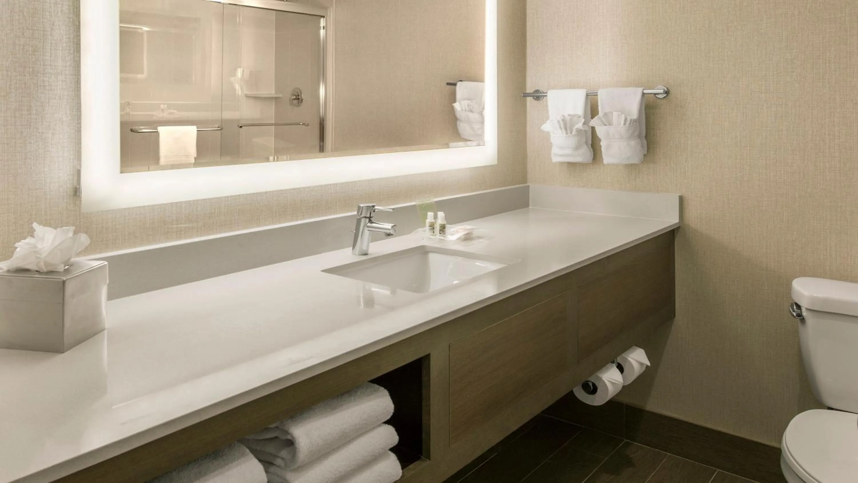 Bathroom in Holiday Inn Denver Lakewood by IHG