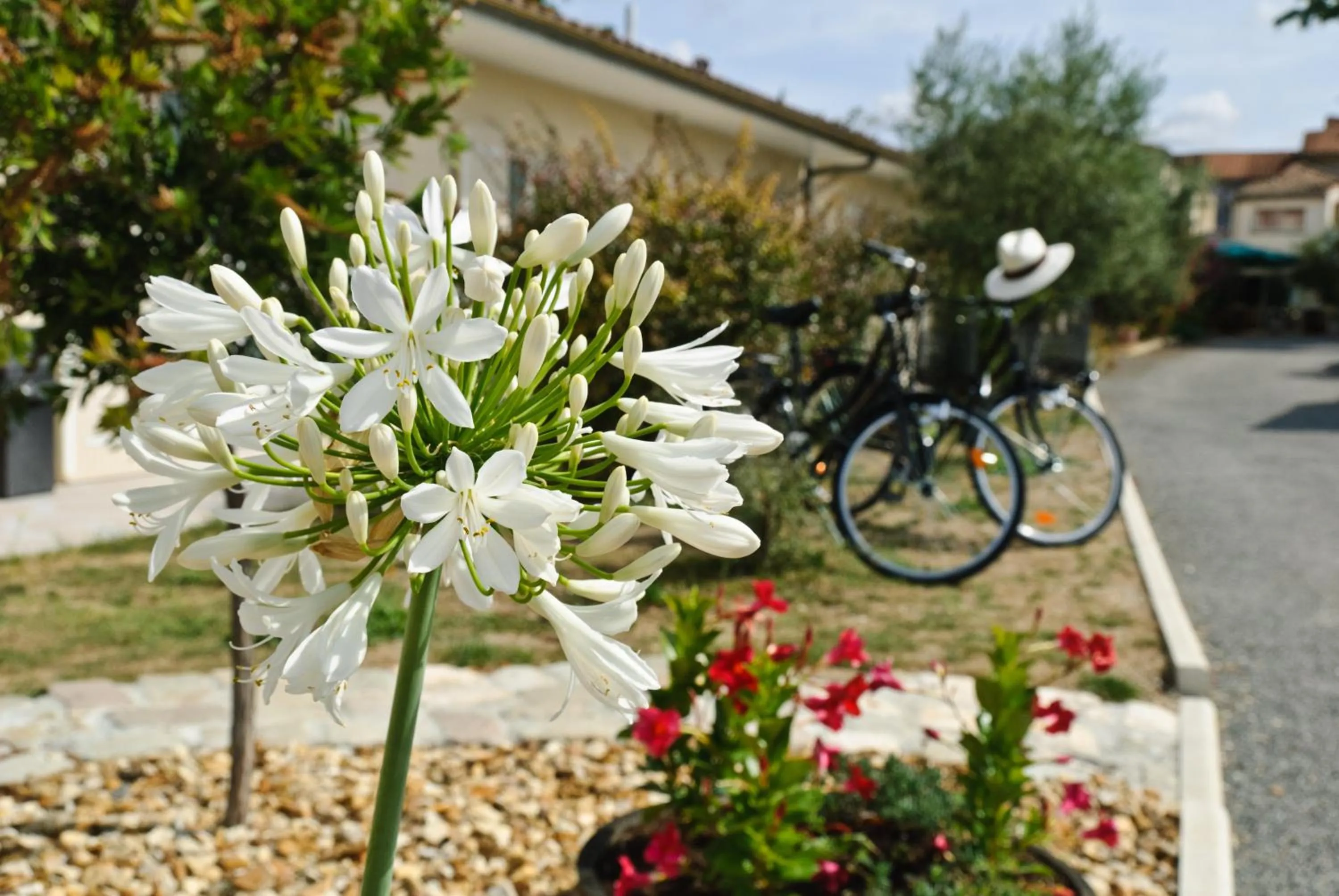 Day in Logis Hôtel L'Oliveraie
