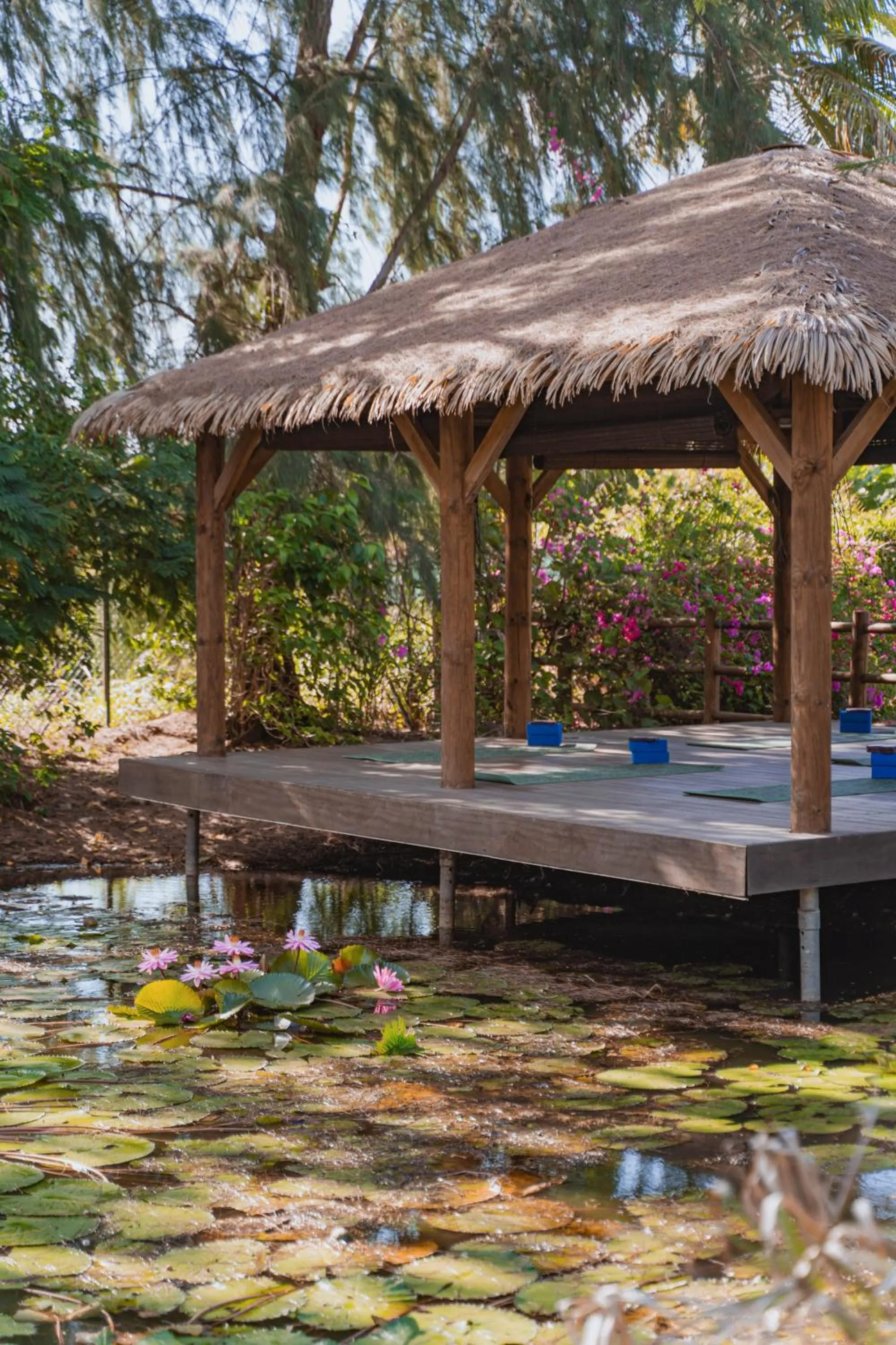 Garden in Le Relais du Moulin - Hôtel de Charme & Spa Adult Only