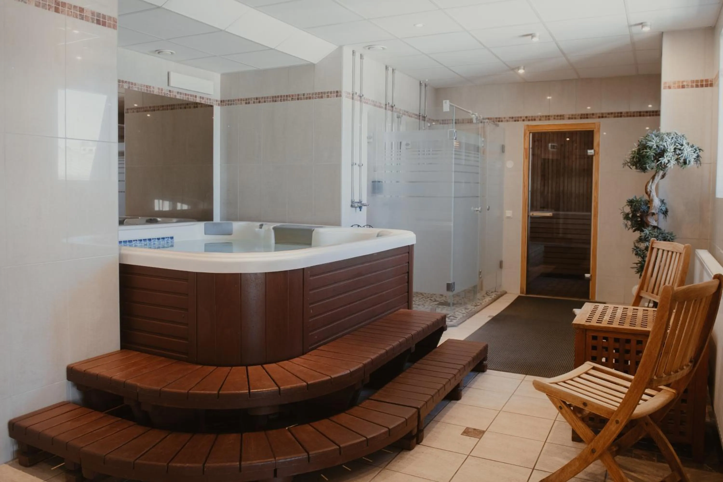 Spa and wellness centre/facilities in Home Hotel Drott
