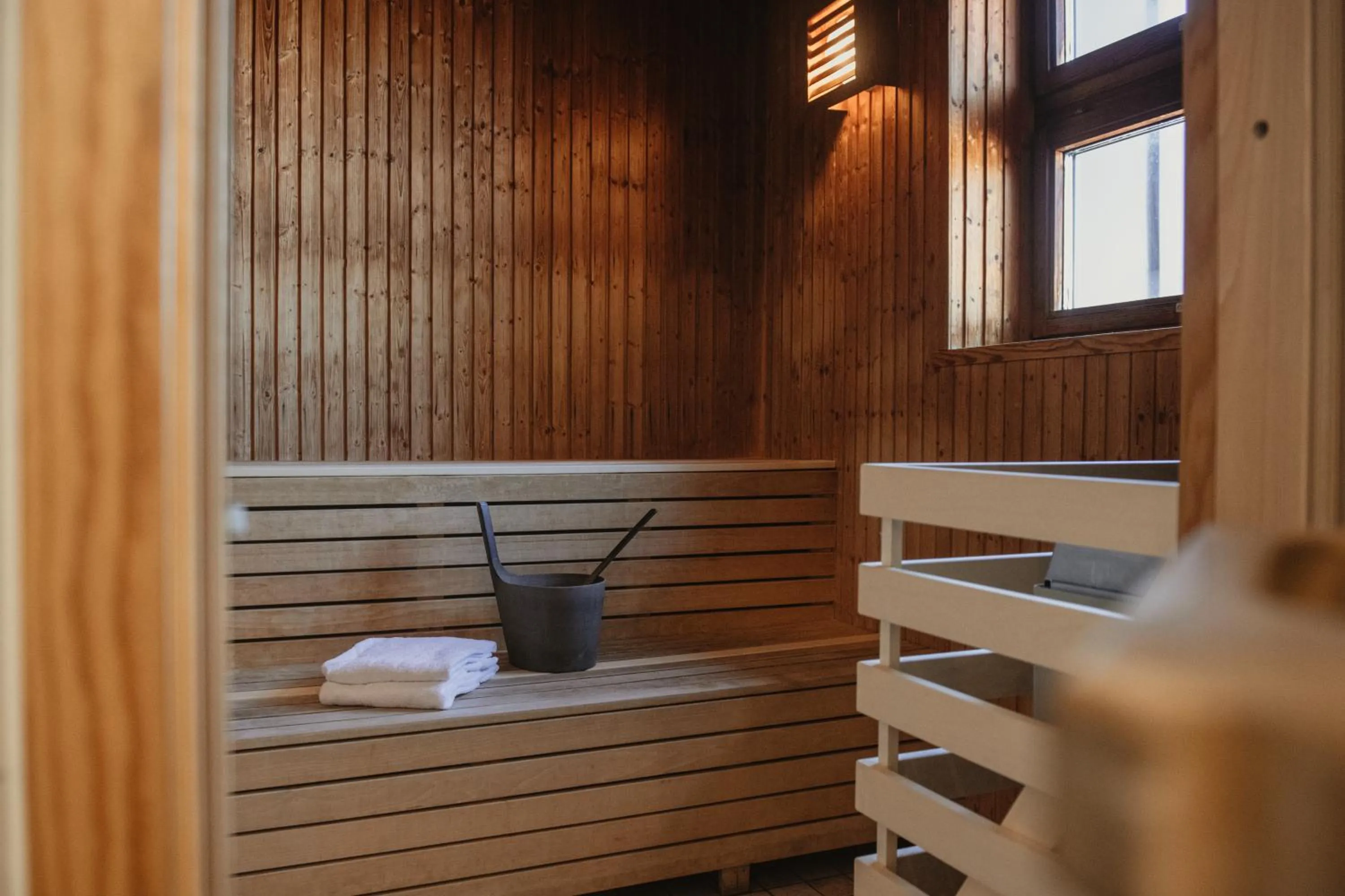 Sauna in Home Hotel Drott