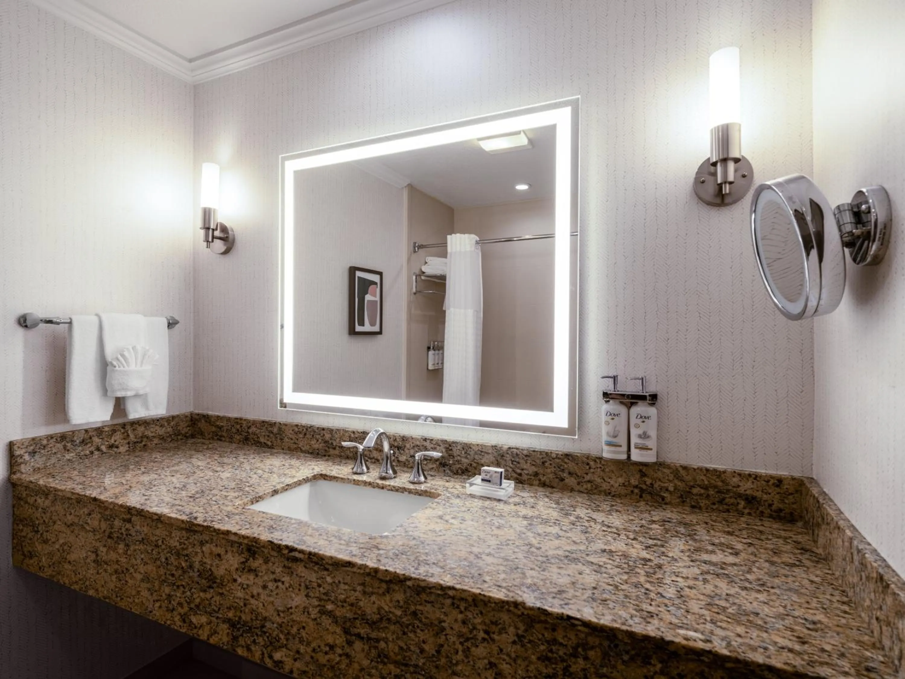 Bathroom in Holiday Inn Hotel & Suites Chicago Northwest - Elgin by IHG