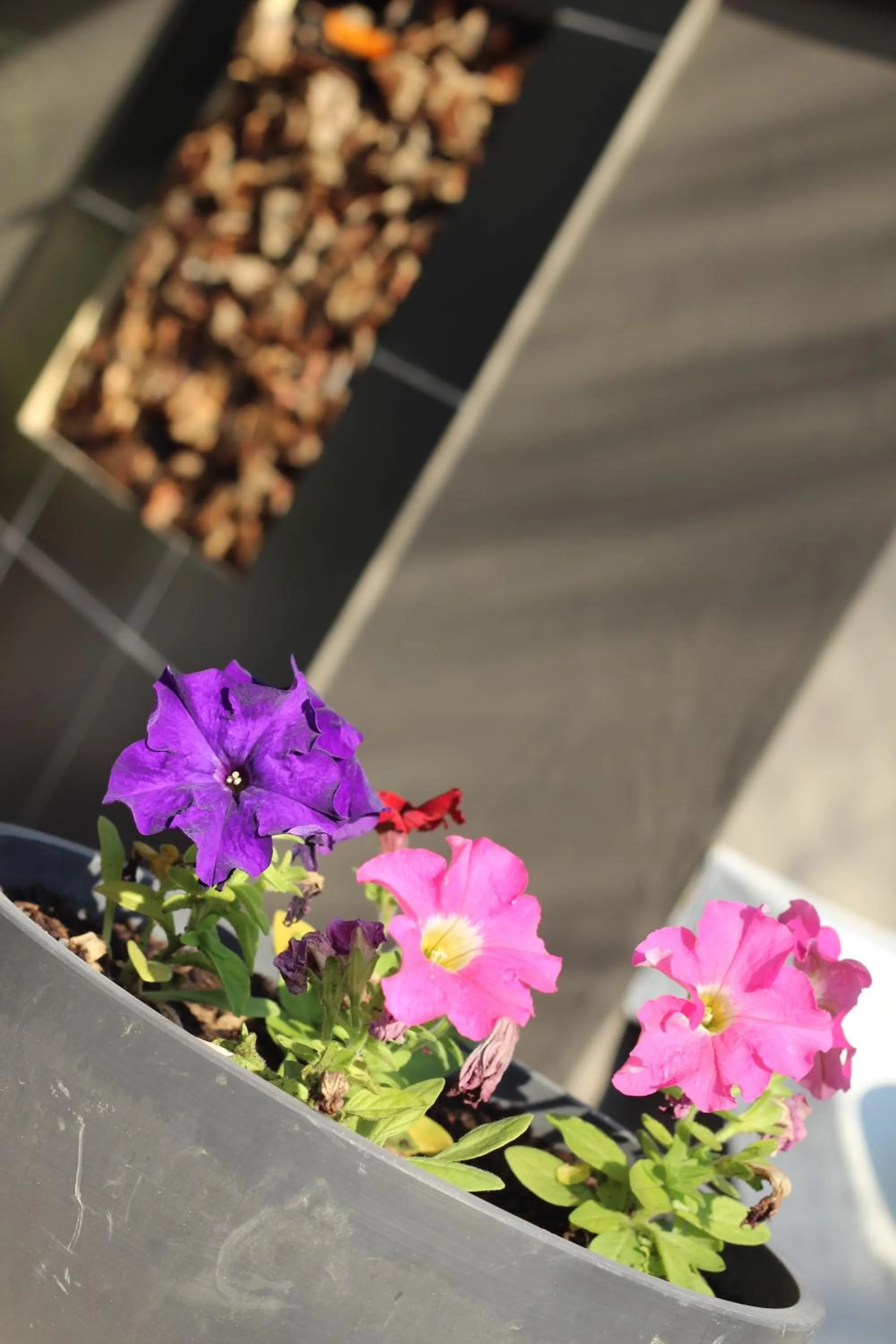 Patio in Convent Hill Lodge