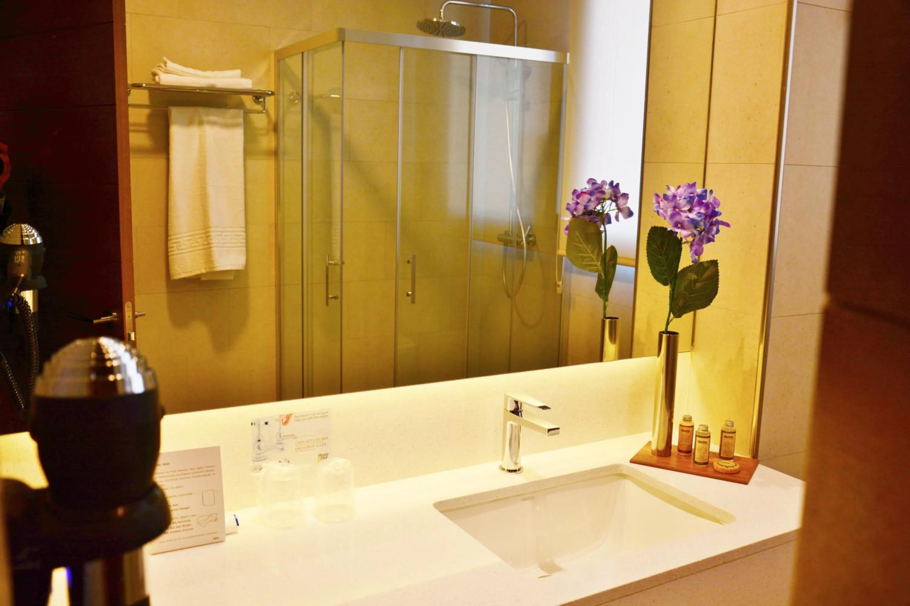 Shower in Hotel Venta Baños