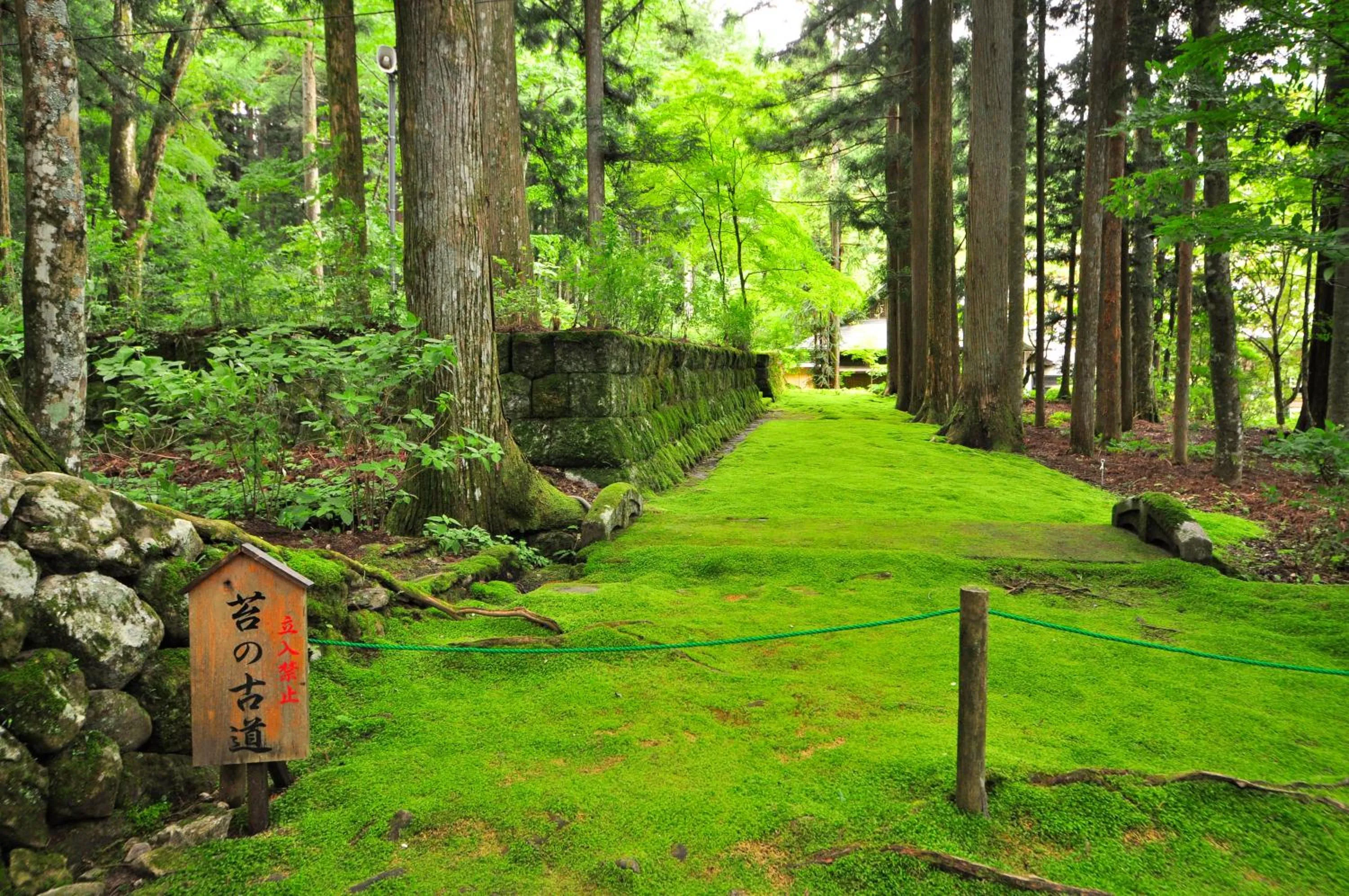 Nearby landmark in Hotel Yamabuki