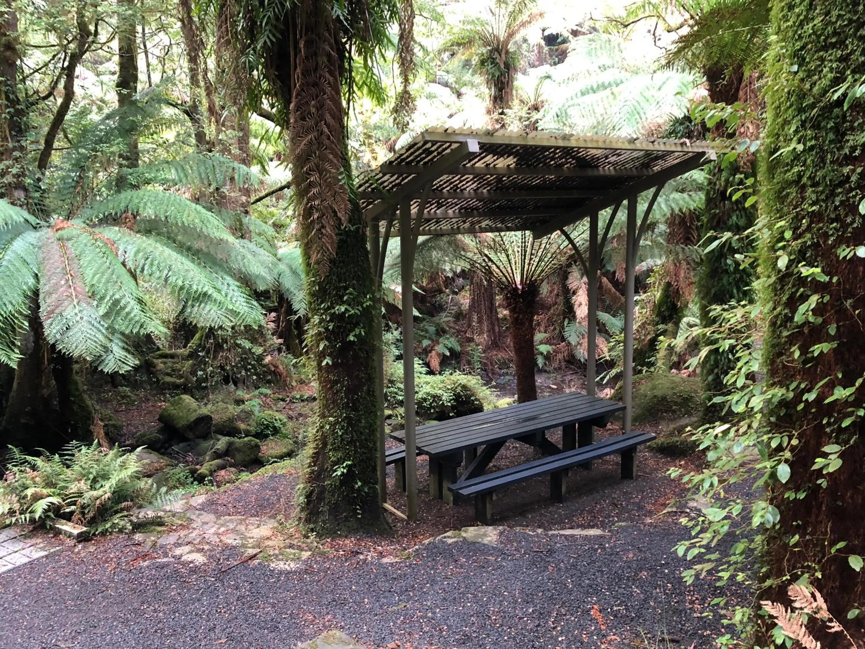 Natural landscape in Ship Inn Motel Yarram
