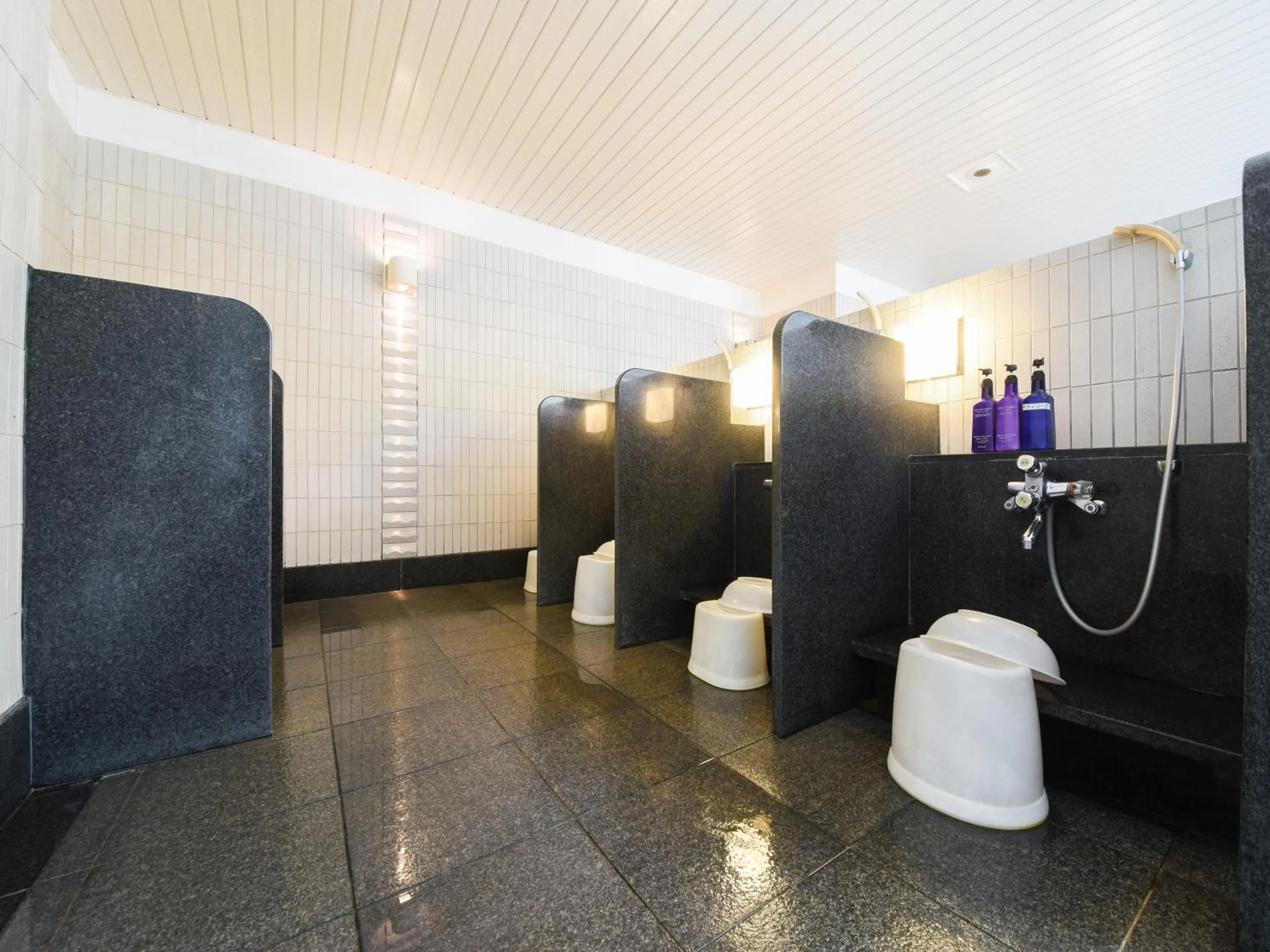 Bathroom in Forest Inn Showakan (Okura Hotels & Resorts)