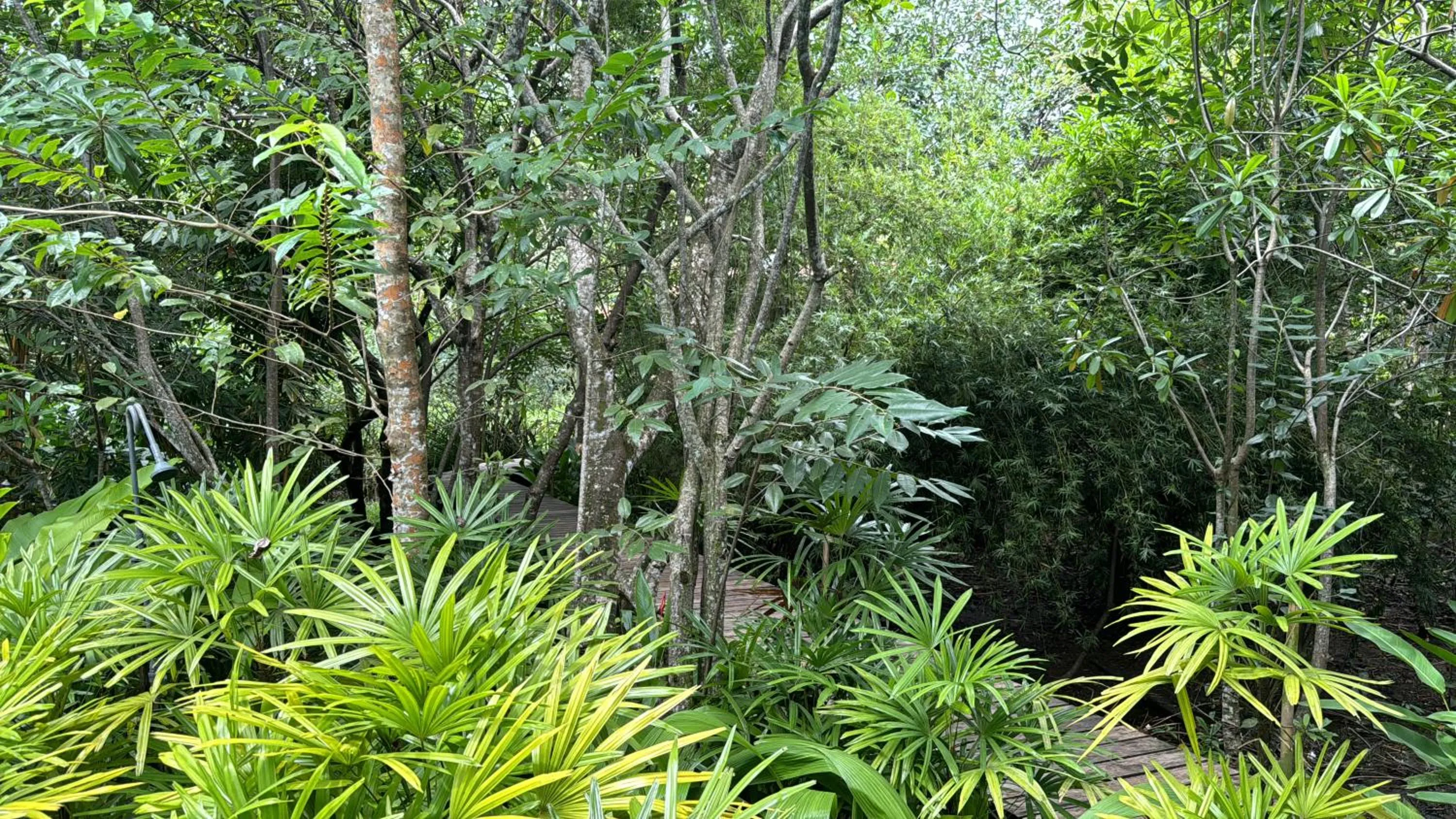 Natural landscape in Ginganga Lodge