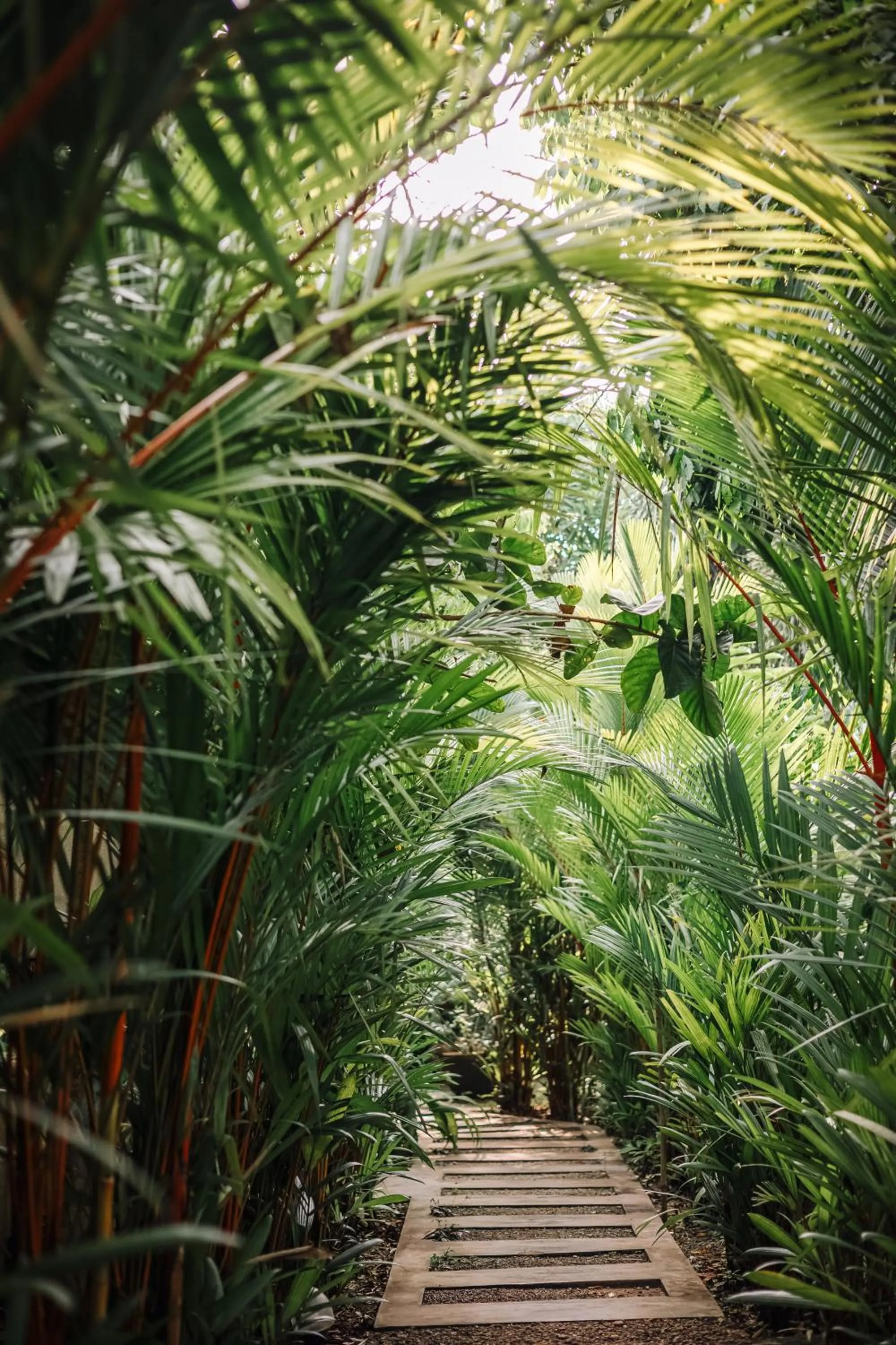 Property building in Ginganga Lodge