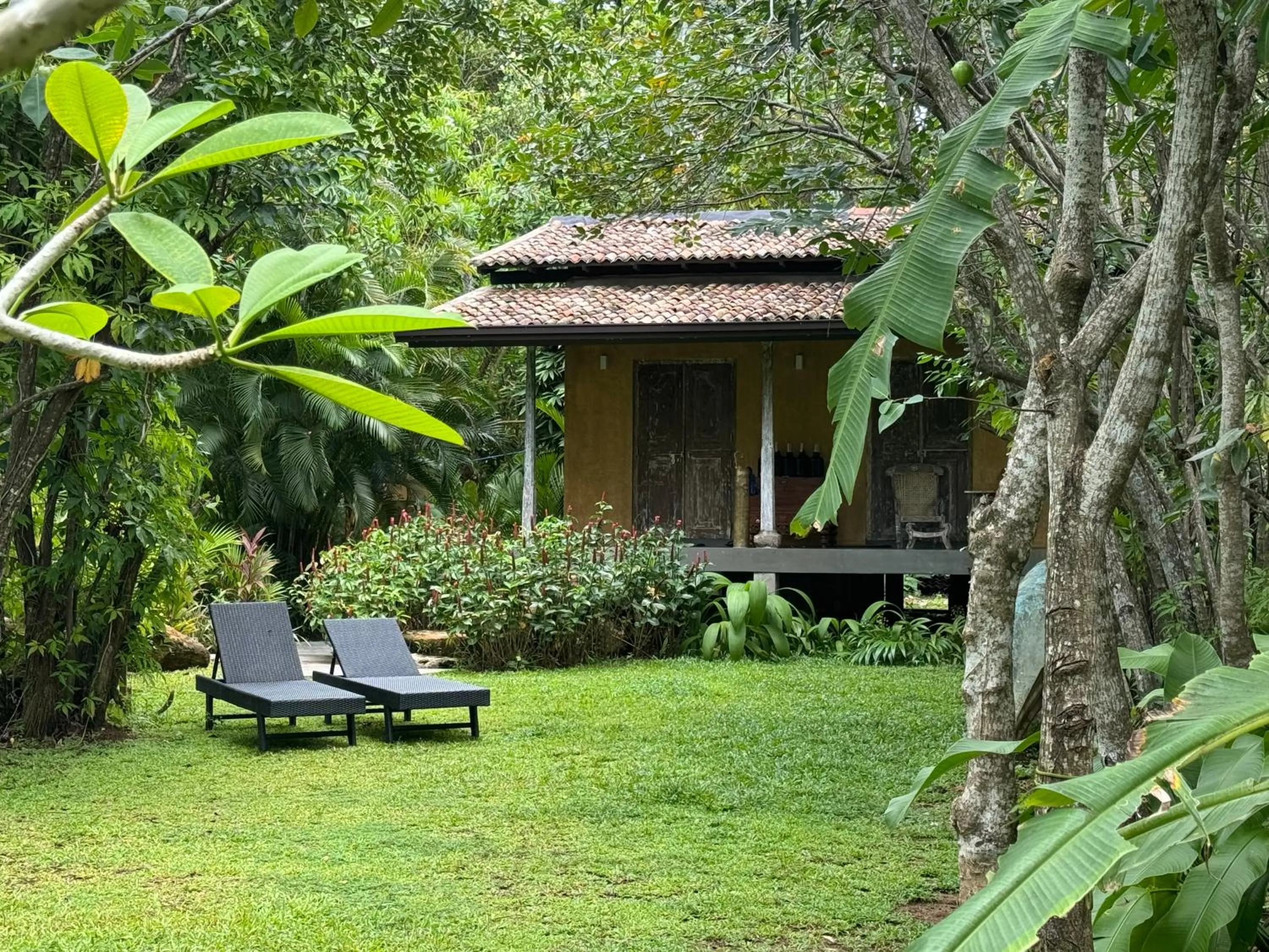 Garden view in Ginganga Lodge