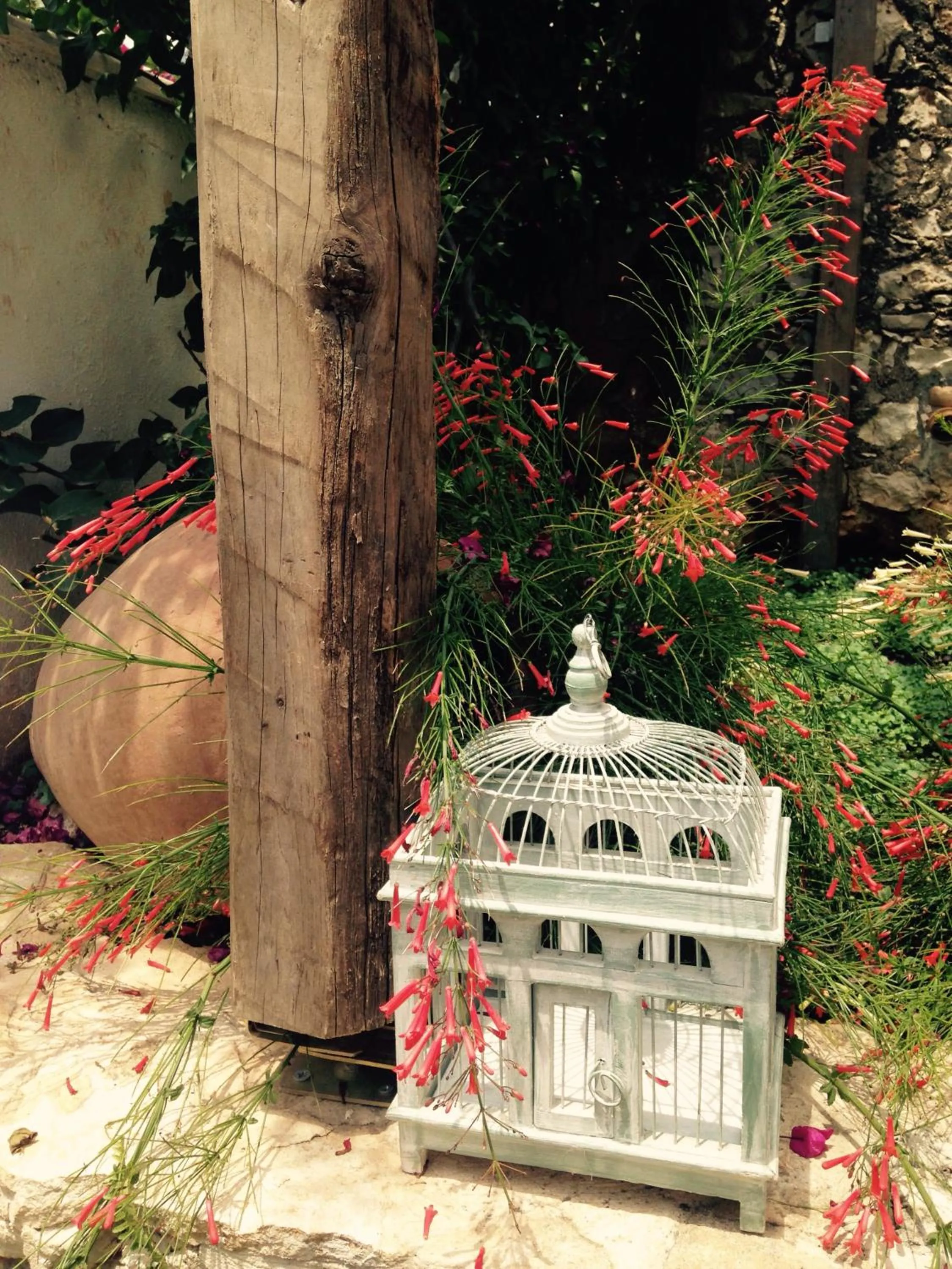 Other in The White House Kalkan