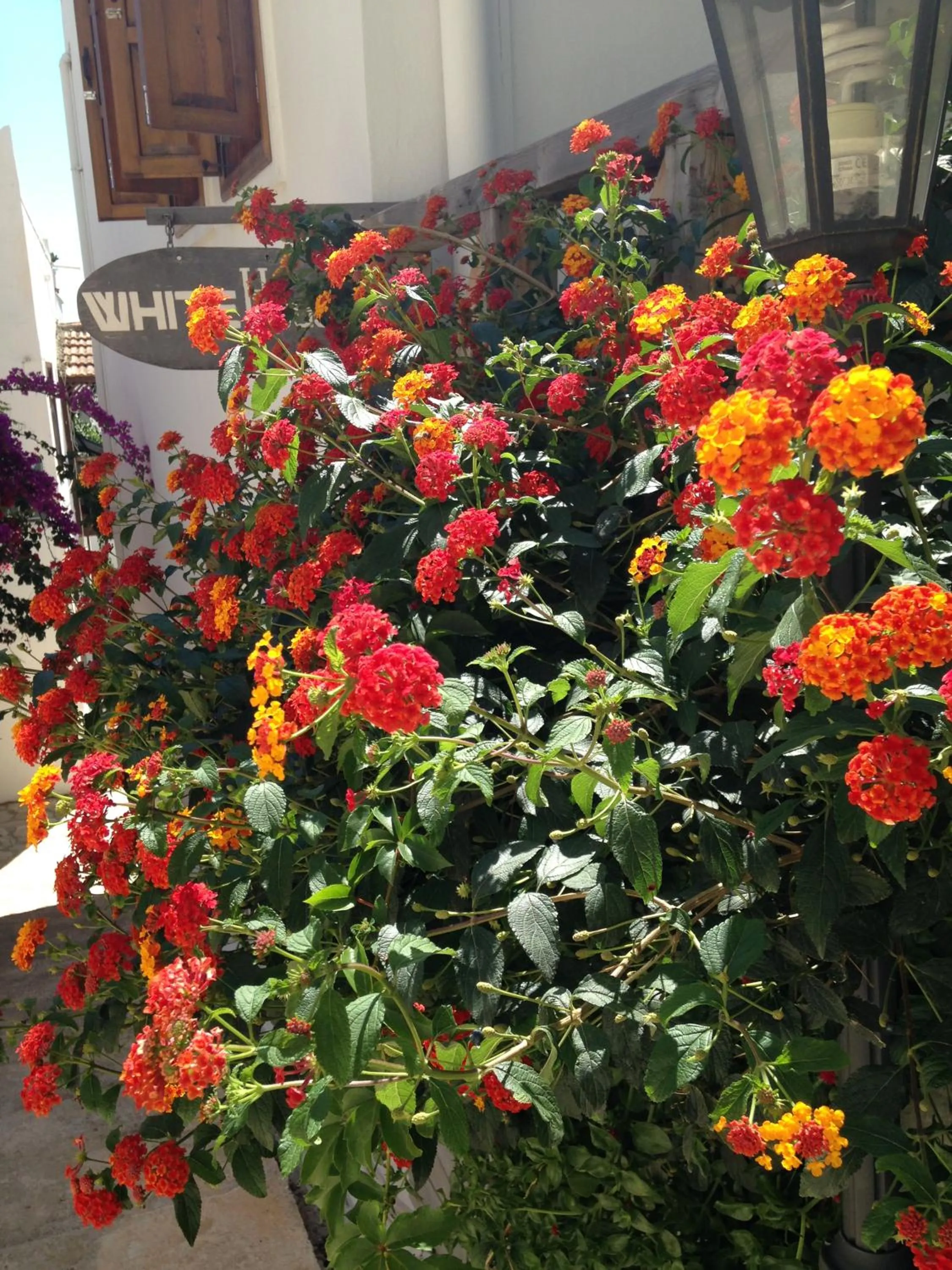 Facade/entrance in The White House Kalkan