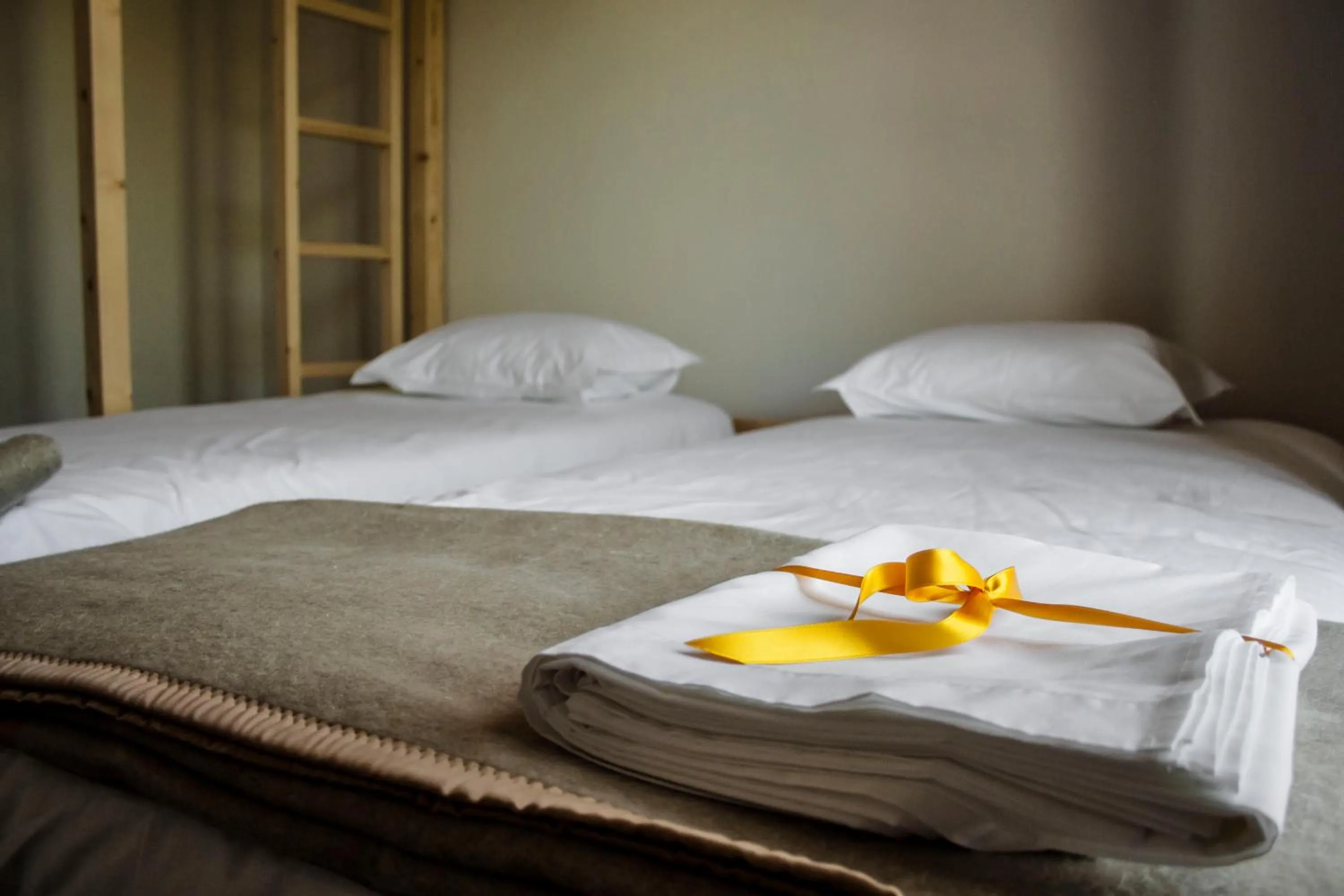 bunk bed, Bed in Most Art Boutique Hostel